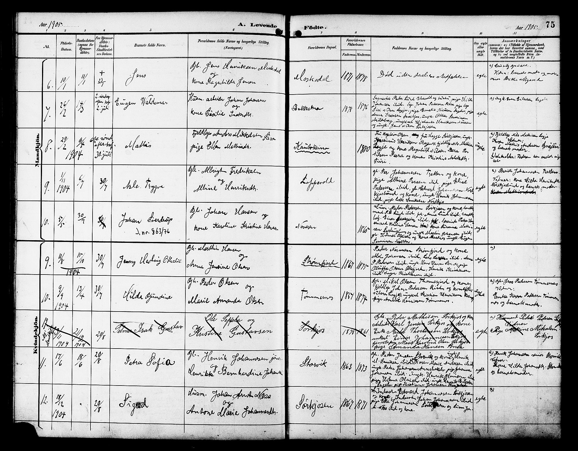 Skjervøy sokneprestkontor, AV/SATØ-S-1300/H/Ha/Hab/L0021klokker: Parish register (copy) no. 21, 1893-1910, p. 75