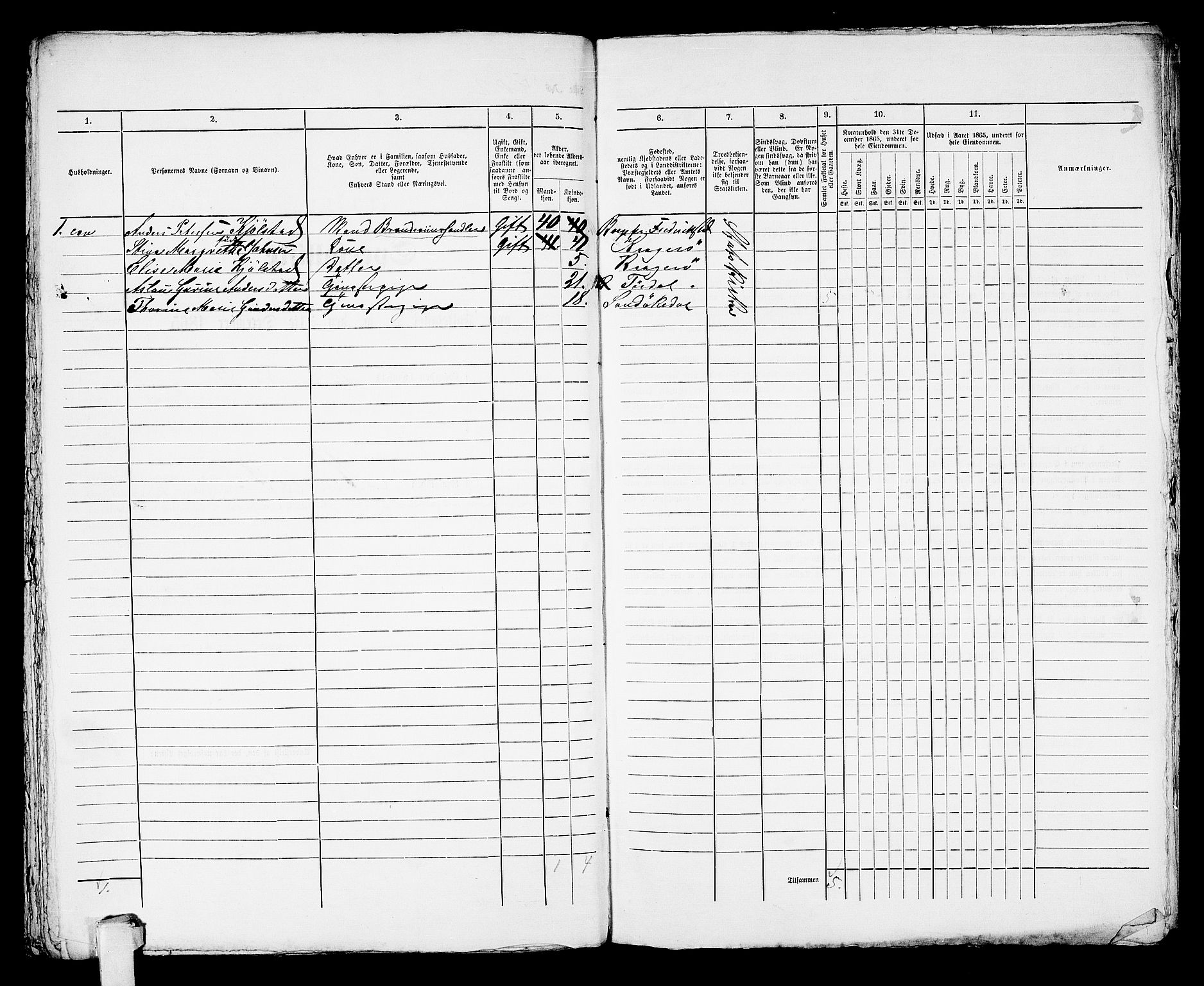 RA, 1865 census for Kragerø/Kragerø, 1865, p. 981