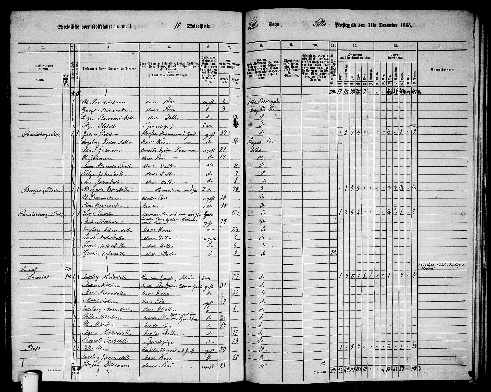 RA, 1865 census for Selbu, 1865, p. 188