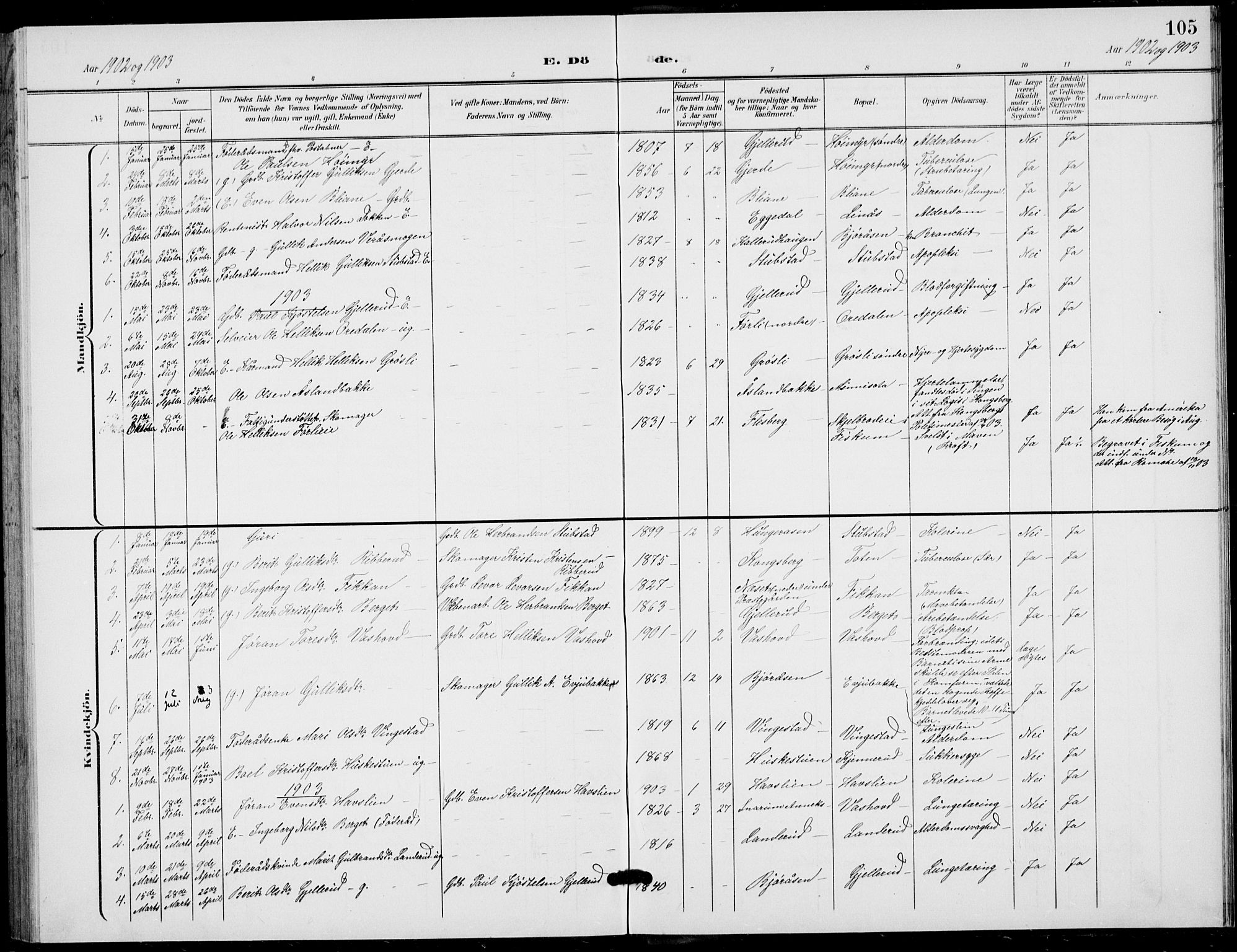 Flesberg kirkebøker, SAKO/A-18/G/Ga/L0005: Parish register (copy) no. I 5, 1899-1908, p. 105