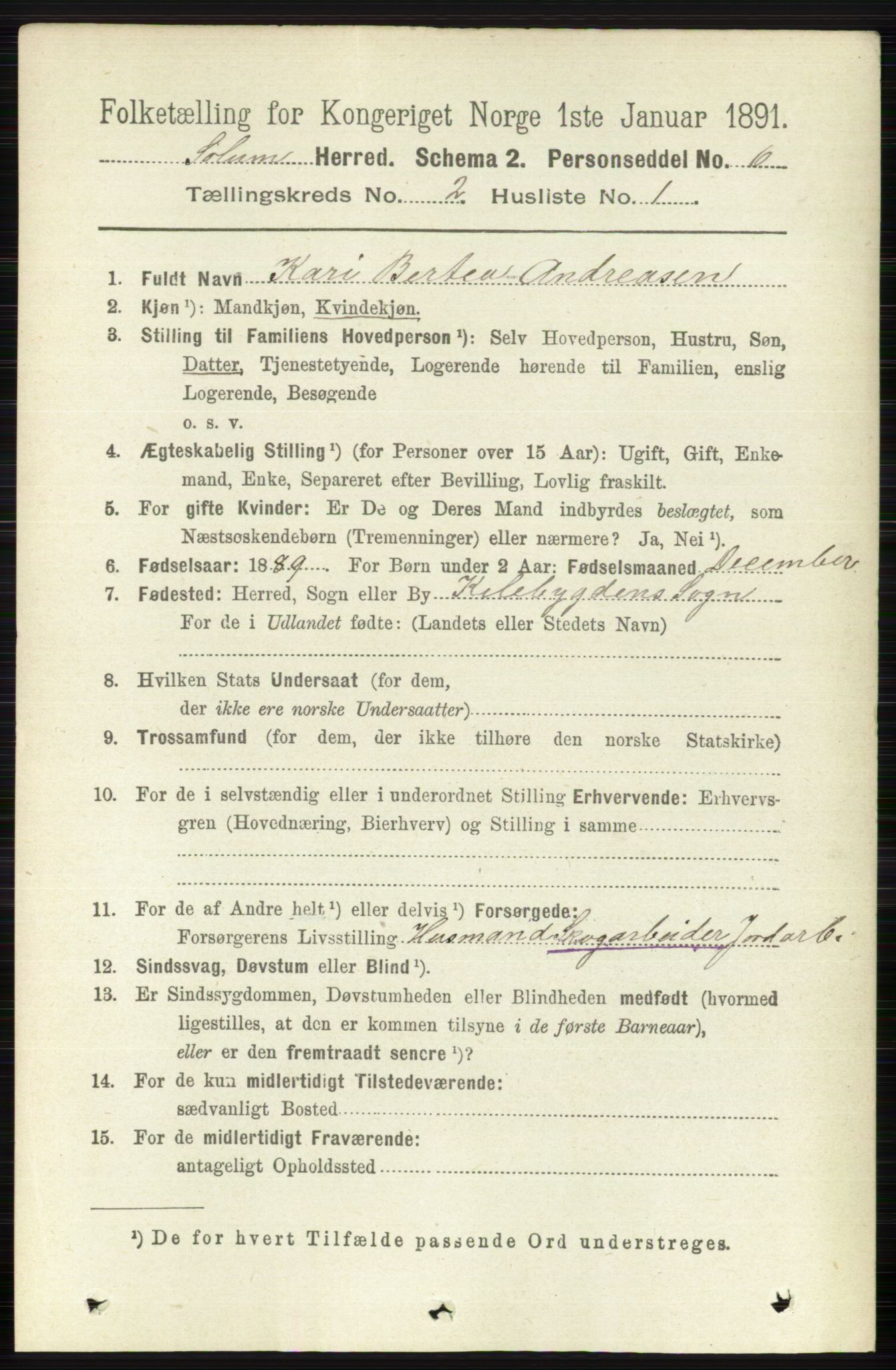 RA, 1891 census for 0818 Solum, 1891, p. 122