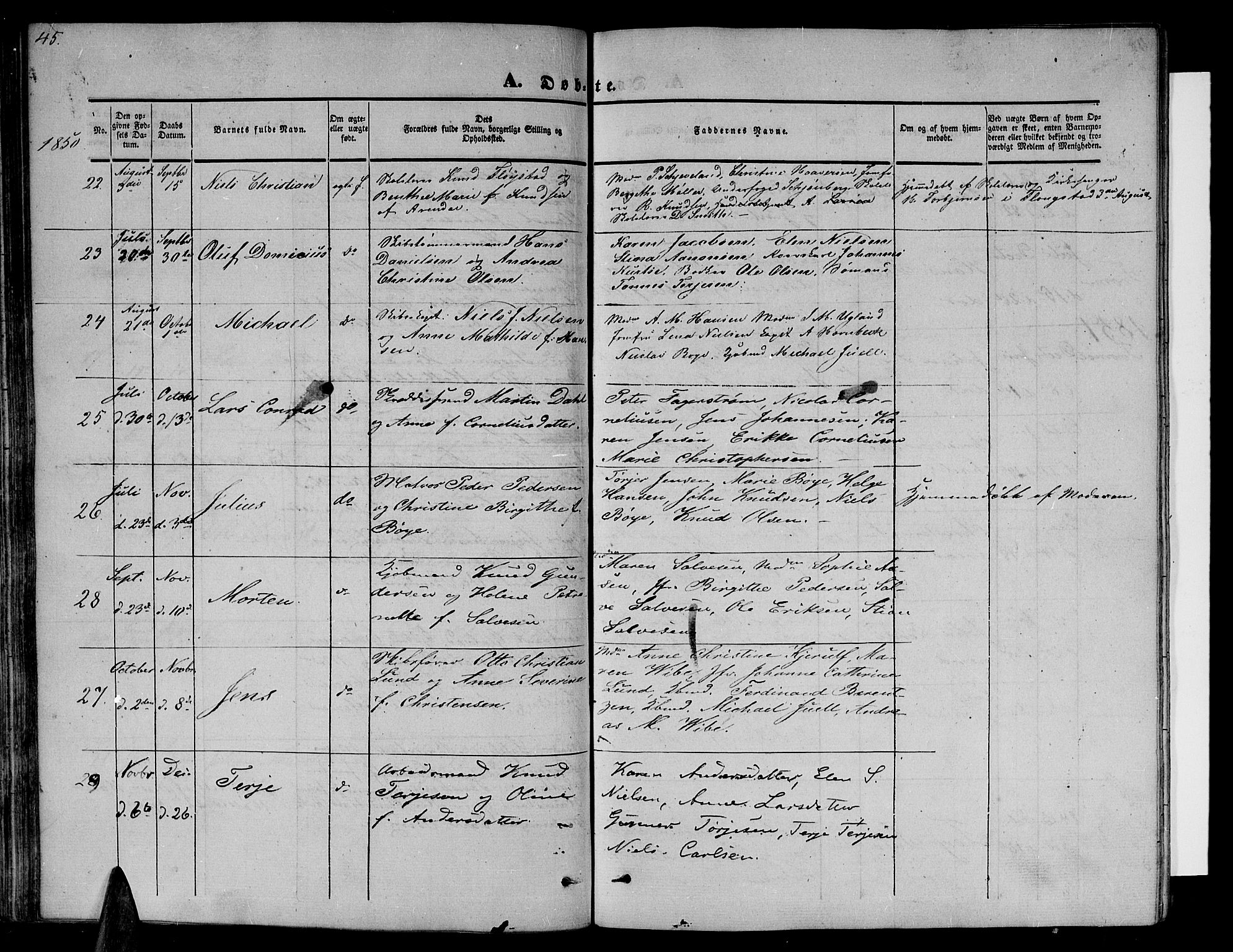 Arendal sokneprestkontor, Trefoldighet, AV/SAK-1111-0040/F/Fb/L0002: Parish register (copy) no. B 2, 1838-1860, p. 45