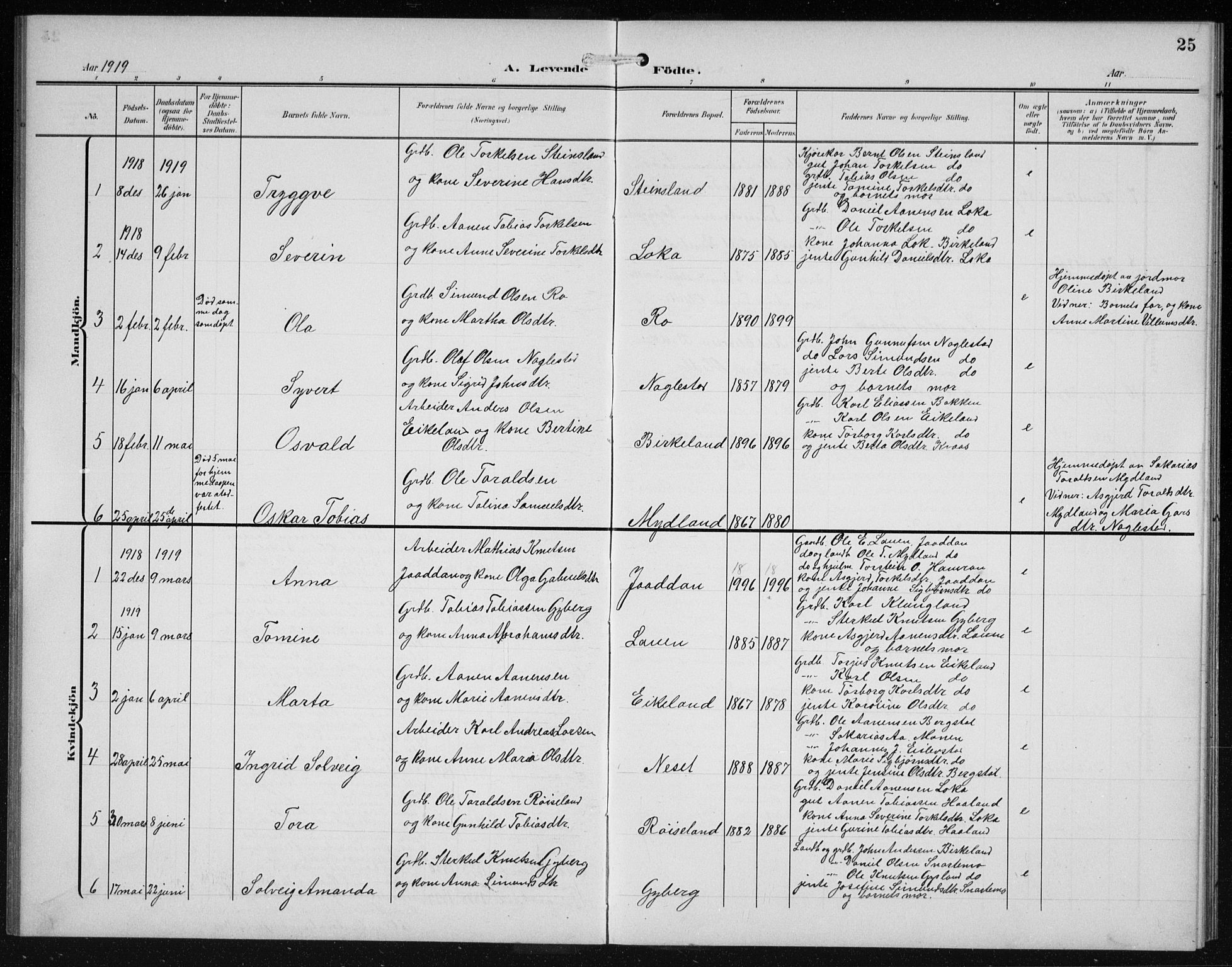 Hægebostad sokneprestkontor, SAK/1111-0024/F/Fb/Fba/L0005: Parish register (copy) no. B 5, 1907-1931, p. 25