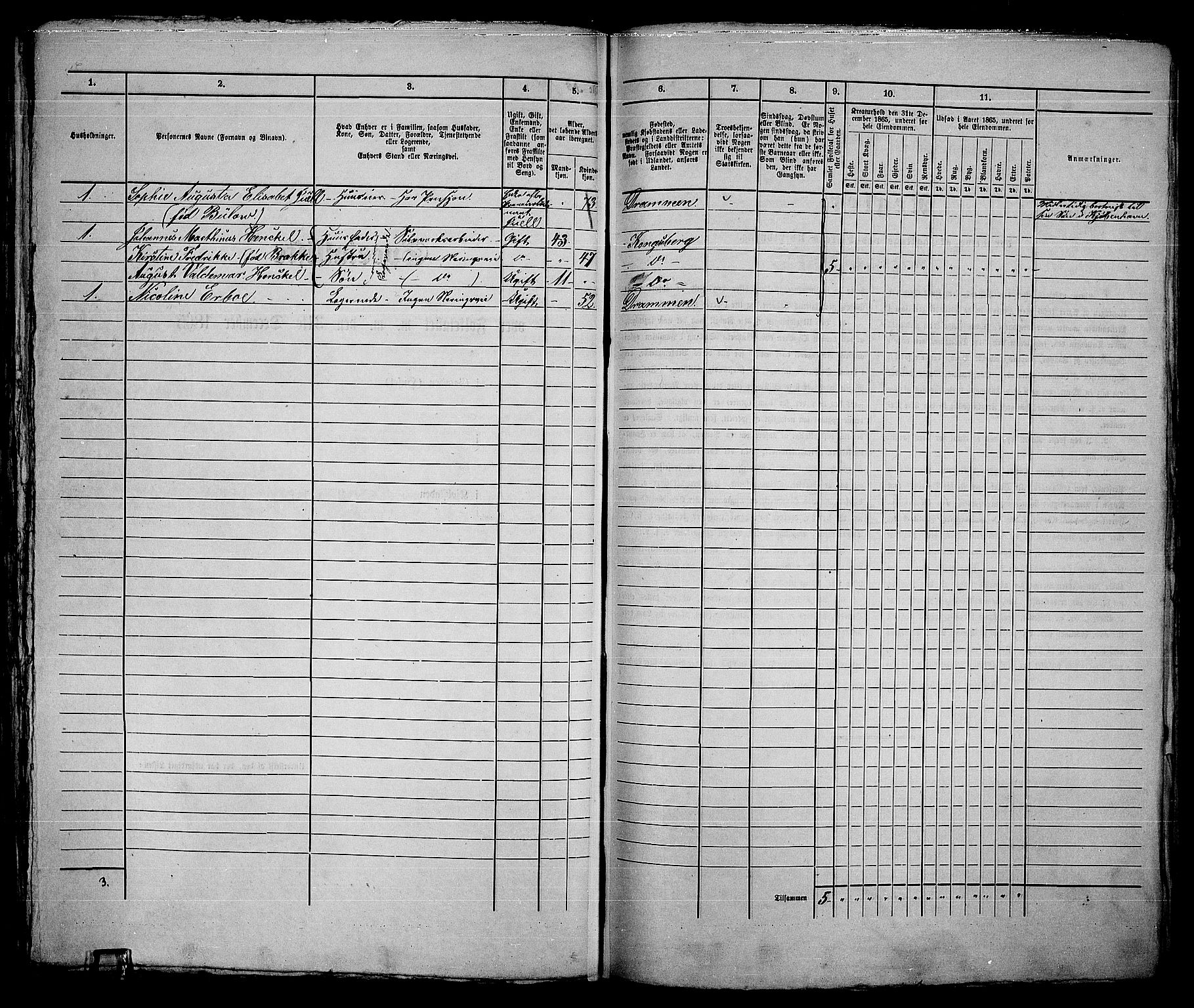 RA, 1865 census for Kongsberg/Kongsberg, 1865, p. 375