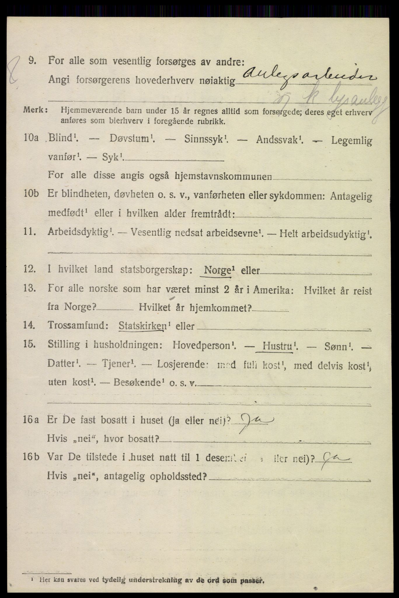 SAH, 1920 census for Skjåk, 1920, p. 1557