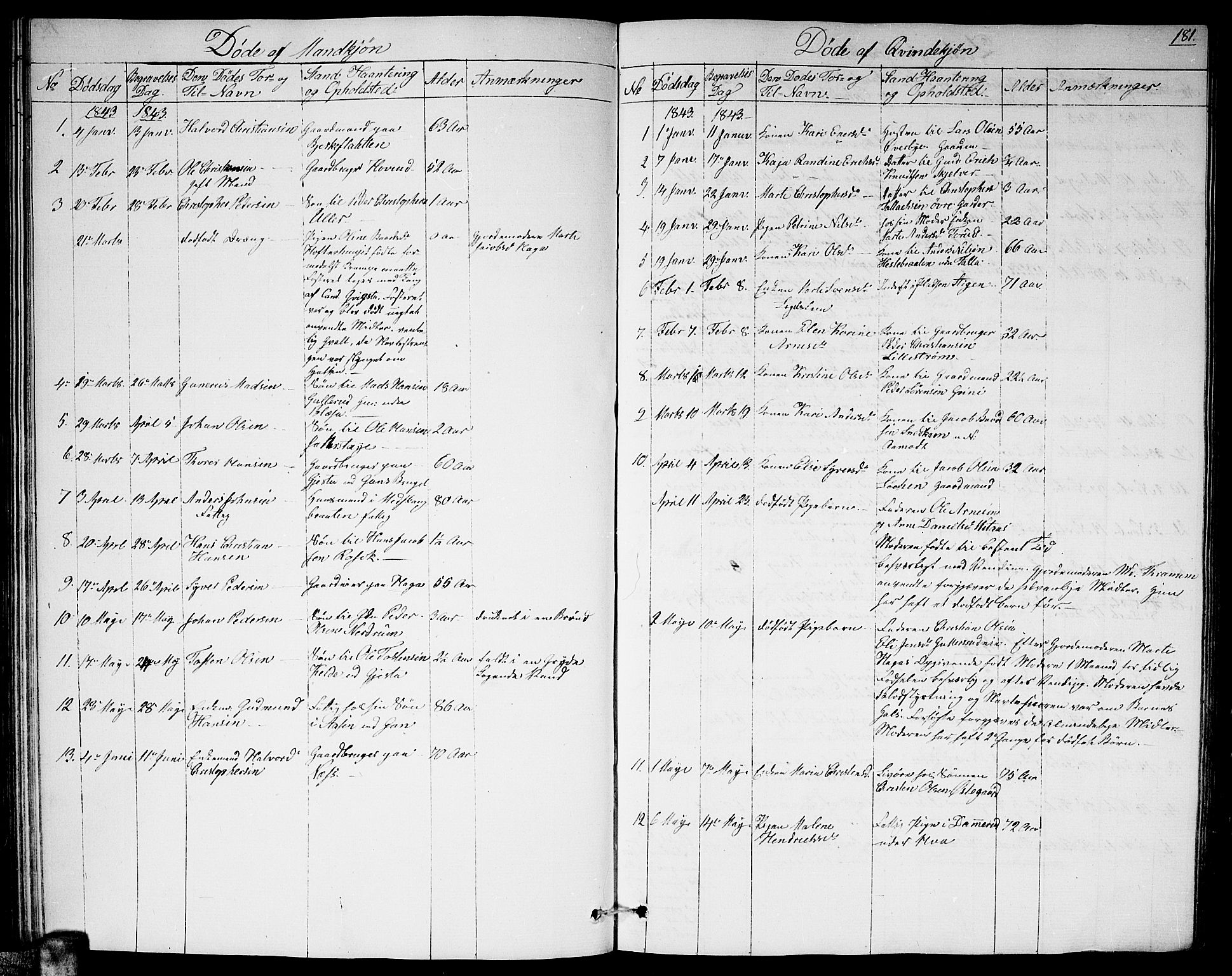 Fet prestekontor Kirkebøker, SAO/A-10370a/G/Ga/L0002: Parish register (copy) no. I 2, 1843-1859, p. 181