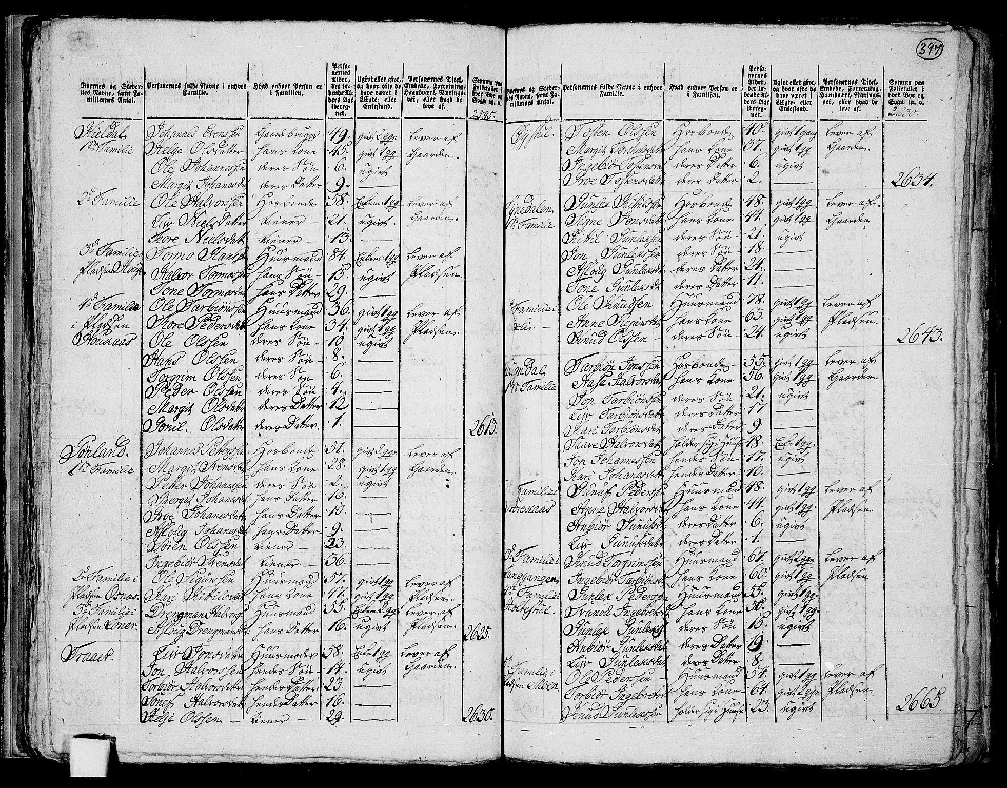 RA, 1801 census for 0827P Hjartdal, 1801, p. 396b-397a