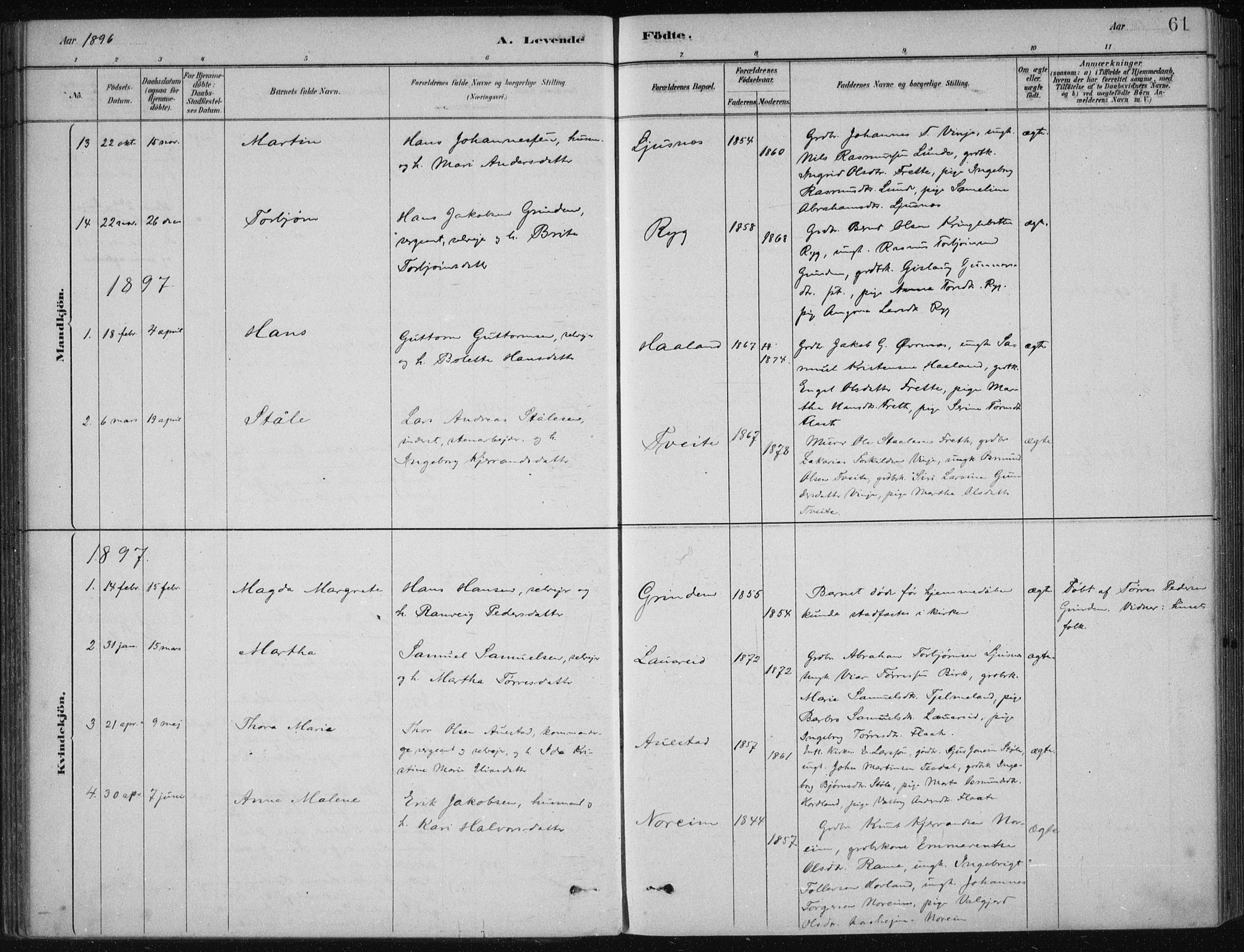 Etne sokneprestembete, SAB/A-75001/H/Haa: Parish register (official) no. D  1, 1879-1919, p. 61