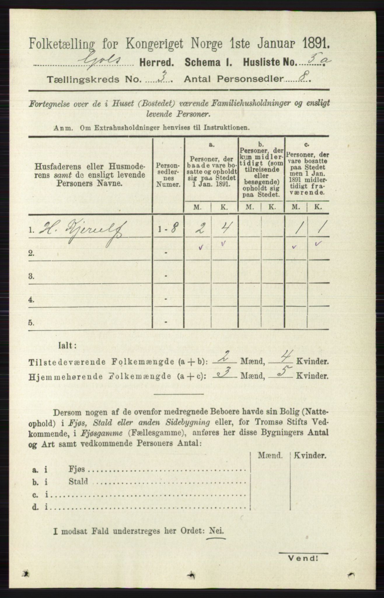 RA, 1891 census for 0617 Gol og Hemsedal, 1891, p. 1199