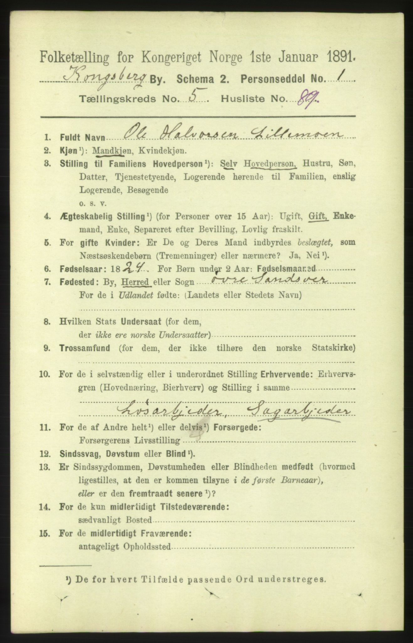 RA, 1891 census for 0604 Kongsberg, 1891, p. 4839