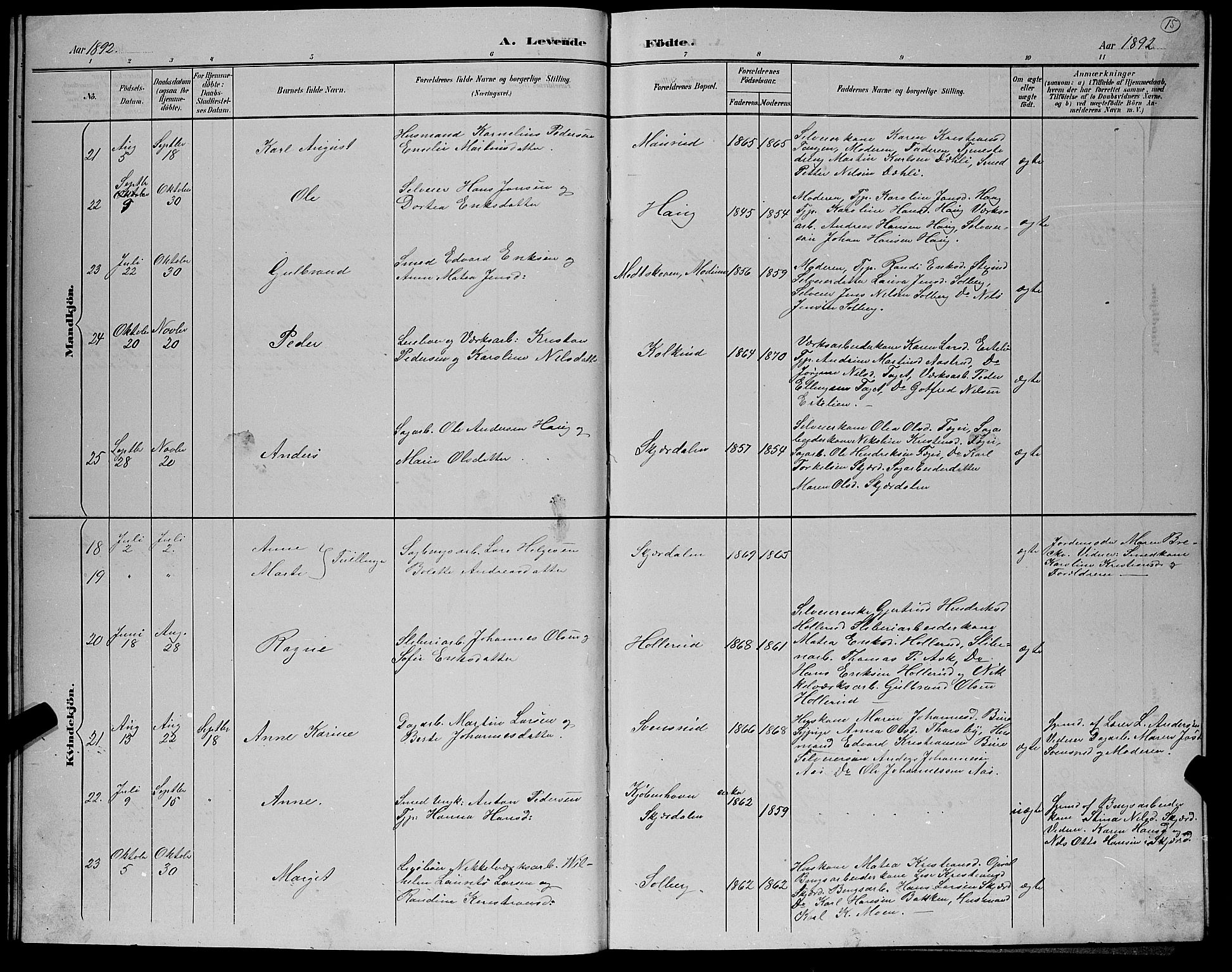 Hole kirkebøker, AV/SAKO-A-228/G/Gb/L0003: Parish register (copy) no. II 3, 1890-1901, p. 15