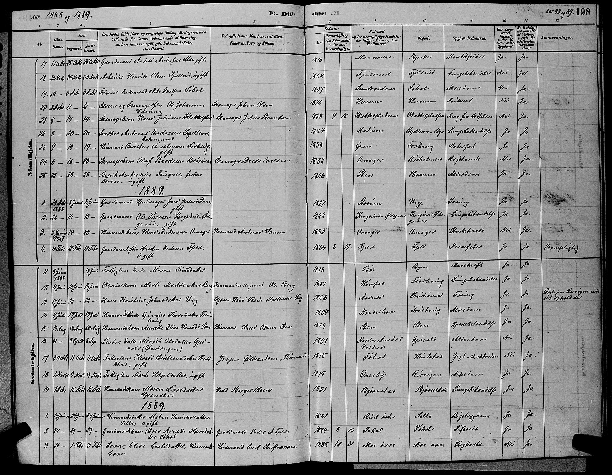 Hole kirkebøker, AV/SAKO-A-228/G/Ga/L0003: Parish register (copy) no. I 3, 1879-1904, p. 198