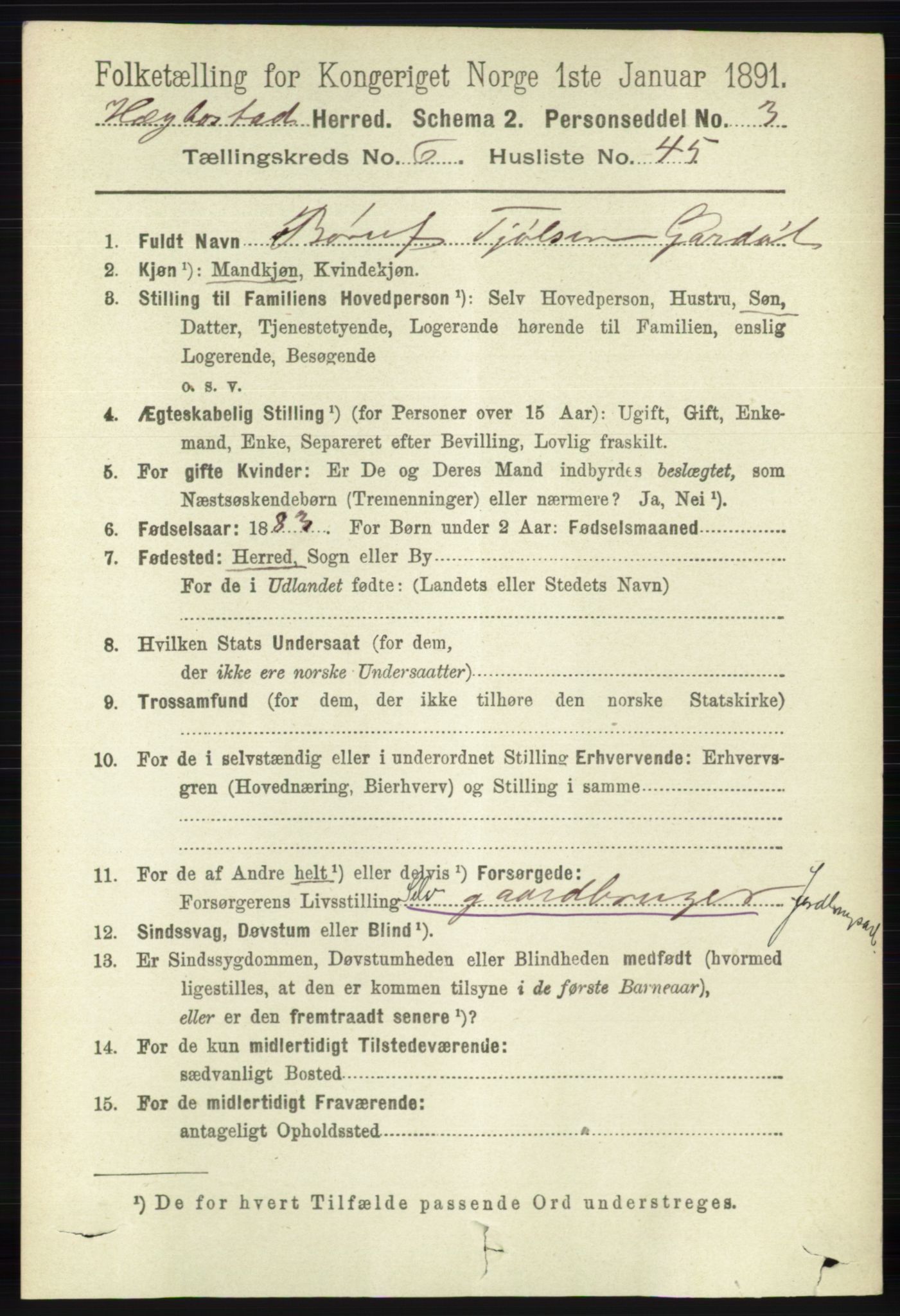 RA, 1891 census for 1034 Hægebostad, 1891, p. 2041