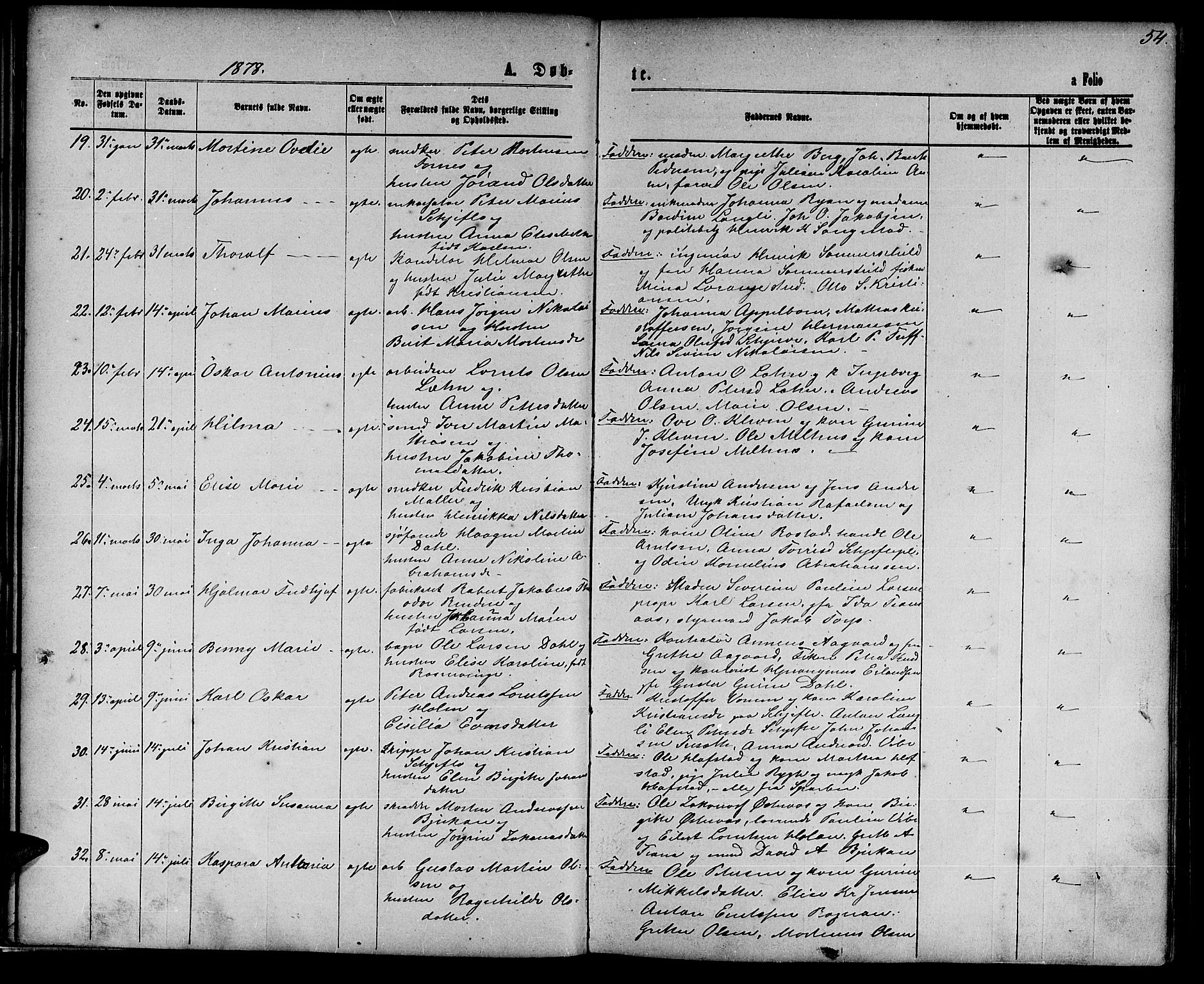 Ministerialprotokoller, klokkerbøker og fødselsregistre - Nord-Trøndelag, SAT/A-1458/739/L0373: Parish register (copy) no. 739C01, 1865-1882, p. 54