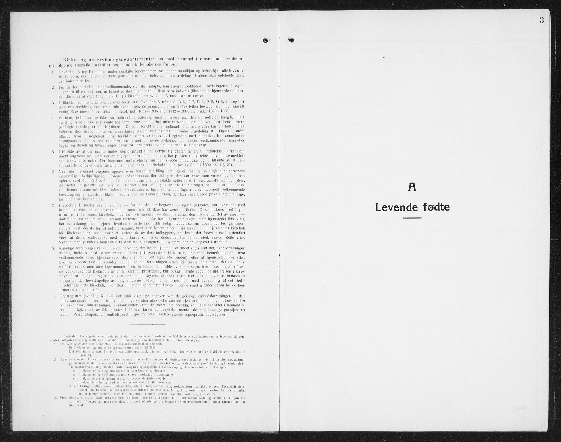Ministerialprotokoller, klokkerbøker og fødselsregistre - Nordland, SAT/A-1459/852/L0757: Parish register (copy) no. 852C08, 1916-1934, p. 3