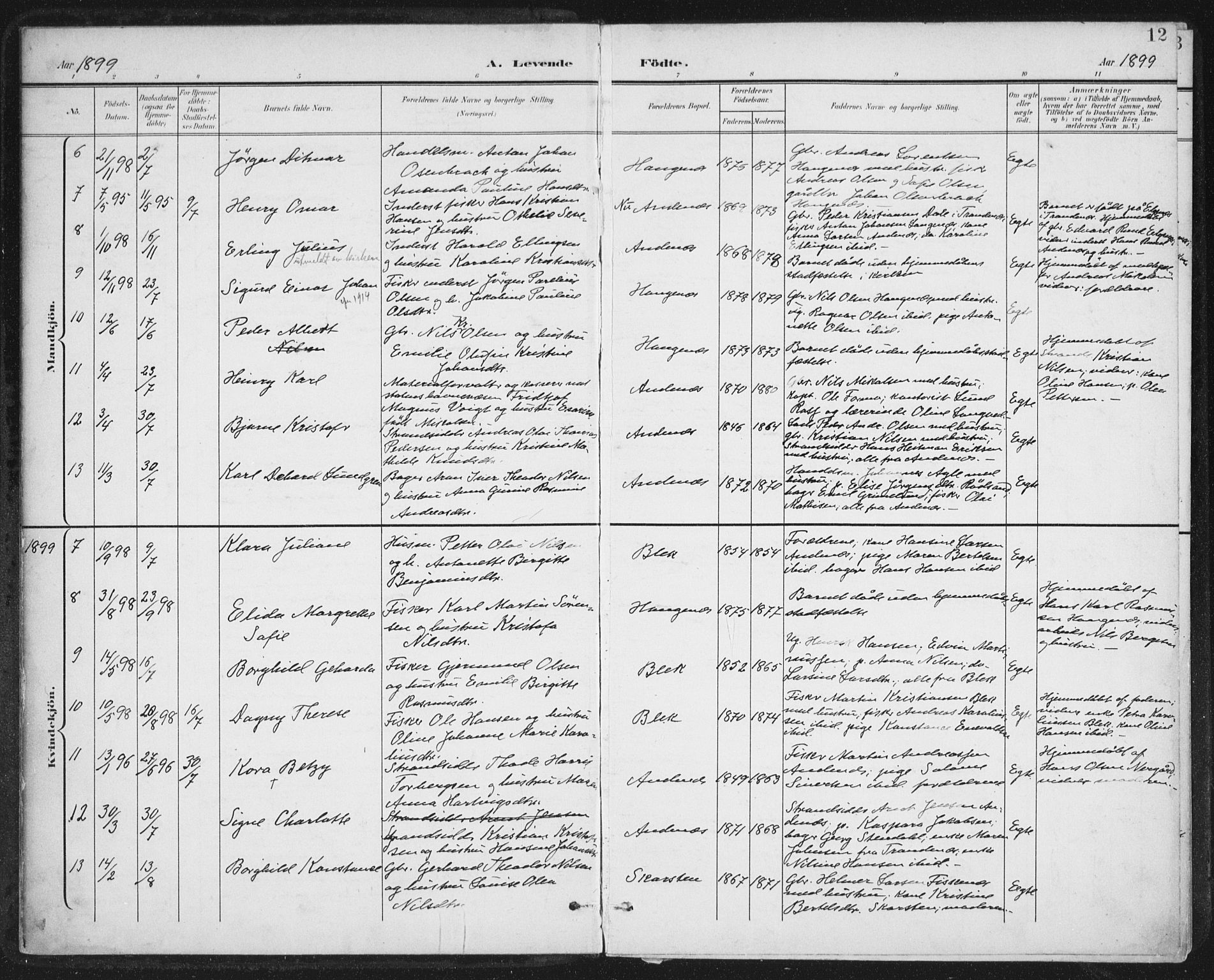 Ministerialprotokoller, klokkerbøker og fødselsregistre - Nordland, AV/SAT-A-1459/899/L1437: Parish register (official) no. 899A05, 1897-1908, p. 12