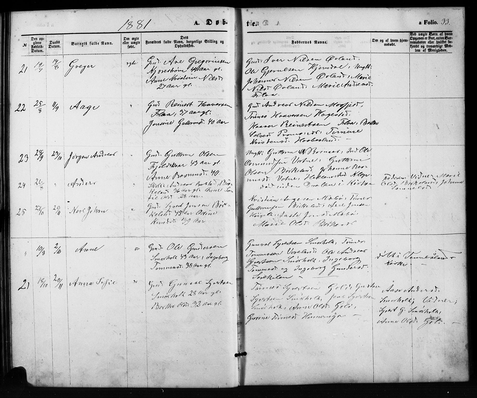 Birkenes sokneprestkontor, SAK/1111-0004/F/Fb/L0003: Parish register (copy) no. B 3, 1876-1892, p. 33
