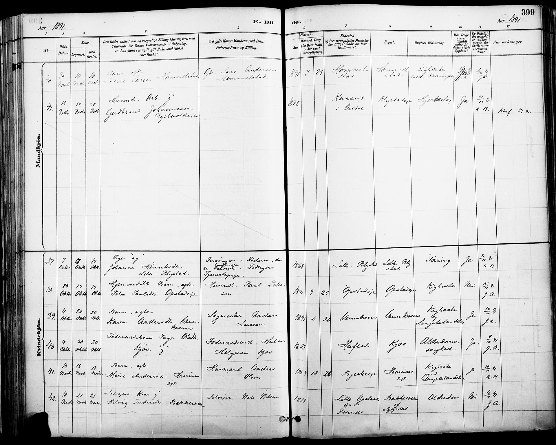 Vang prestekontor, Hedmark, AV/SAH-PREST-008/H/Ha/Haa/L0019A: Parish register (official) no. 19, 1886-1900, p. 399