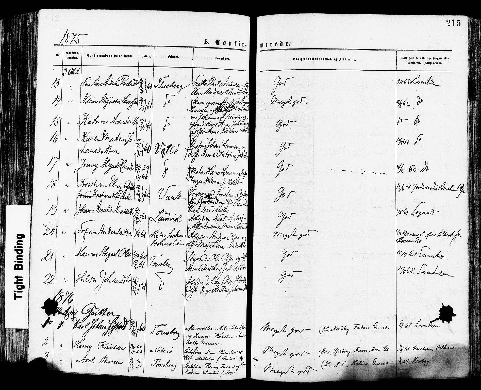Tønsberg kirkebøker, SAKO/A-330/F/Fa/L0010: Parish register (official) no. I 10, 1874-1880, p. 215