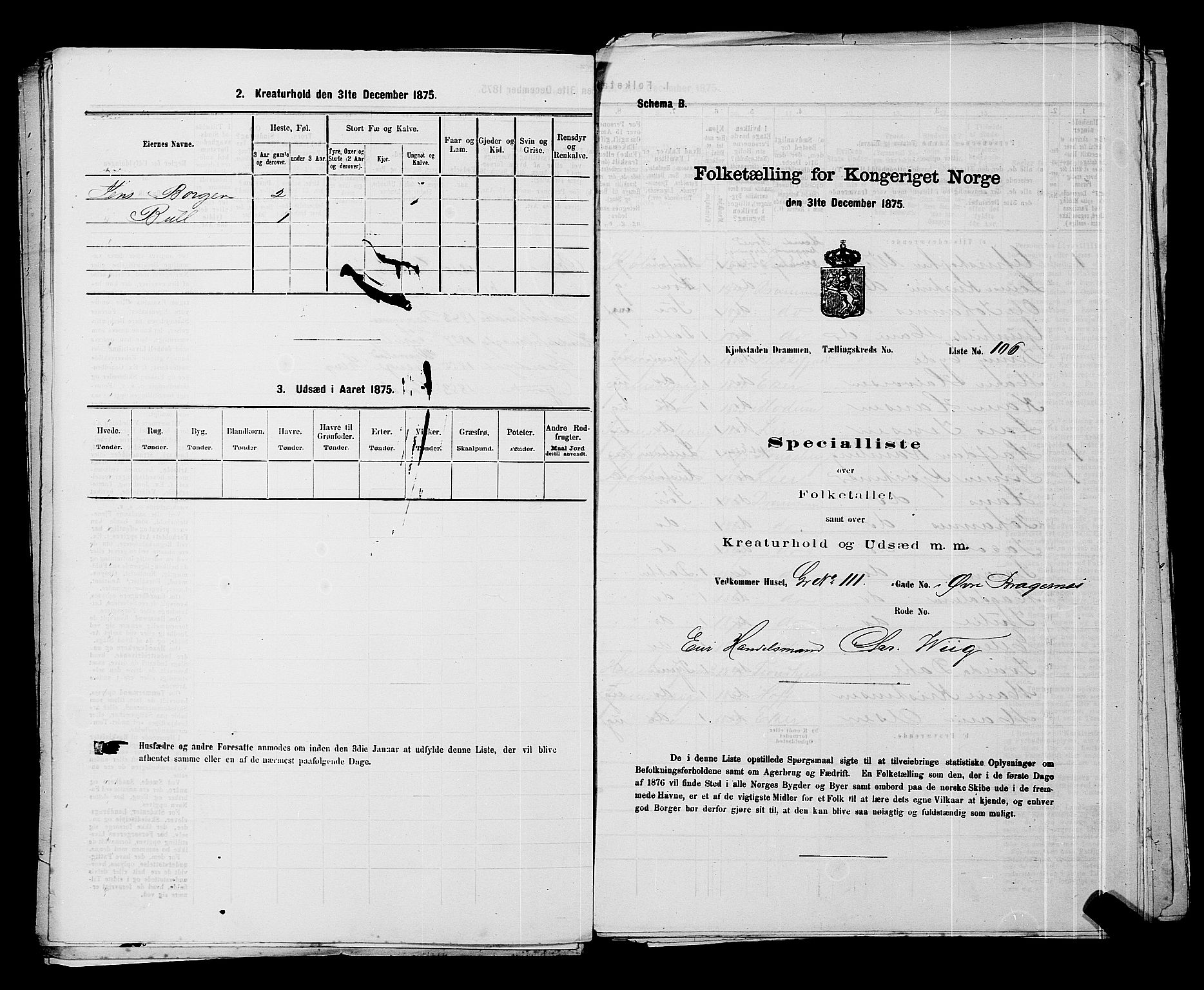 SAKO, 1875 census for 0602 Drammen, 1875, p. 423