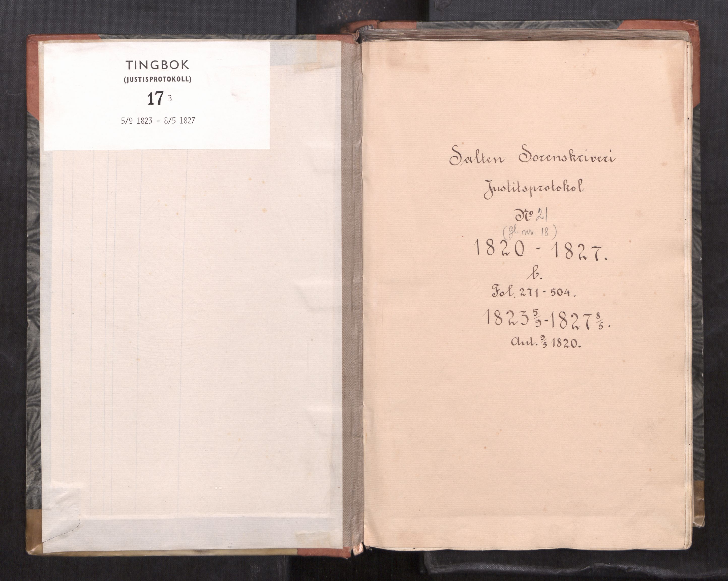Salten sorenskriveri, SAT/A-4578/1/1/1A/L0021: Tingbok, fol. 271-504., 1823-1827