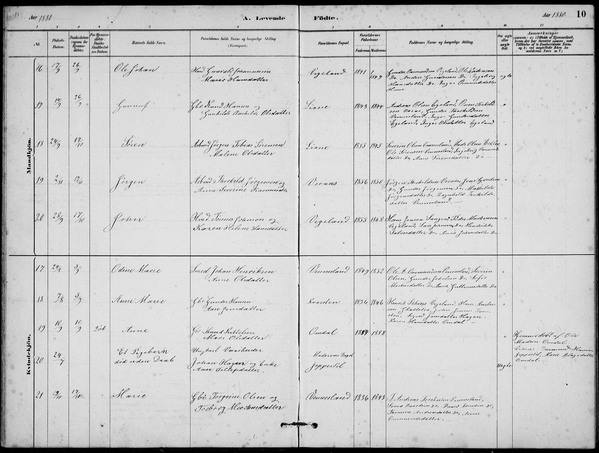 Vennesla sokneprestkontor, AV/SAK-1111-0045/Fb/Fbb/L0003: Parish register (copy) no. B 3, 1879-1893, p. 10