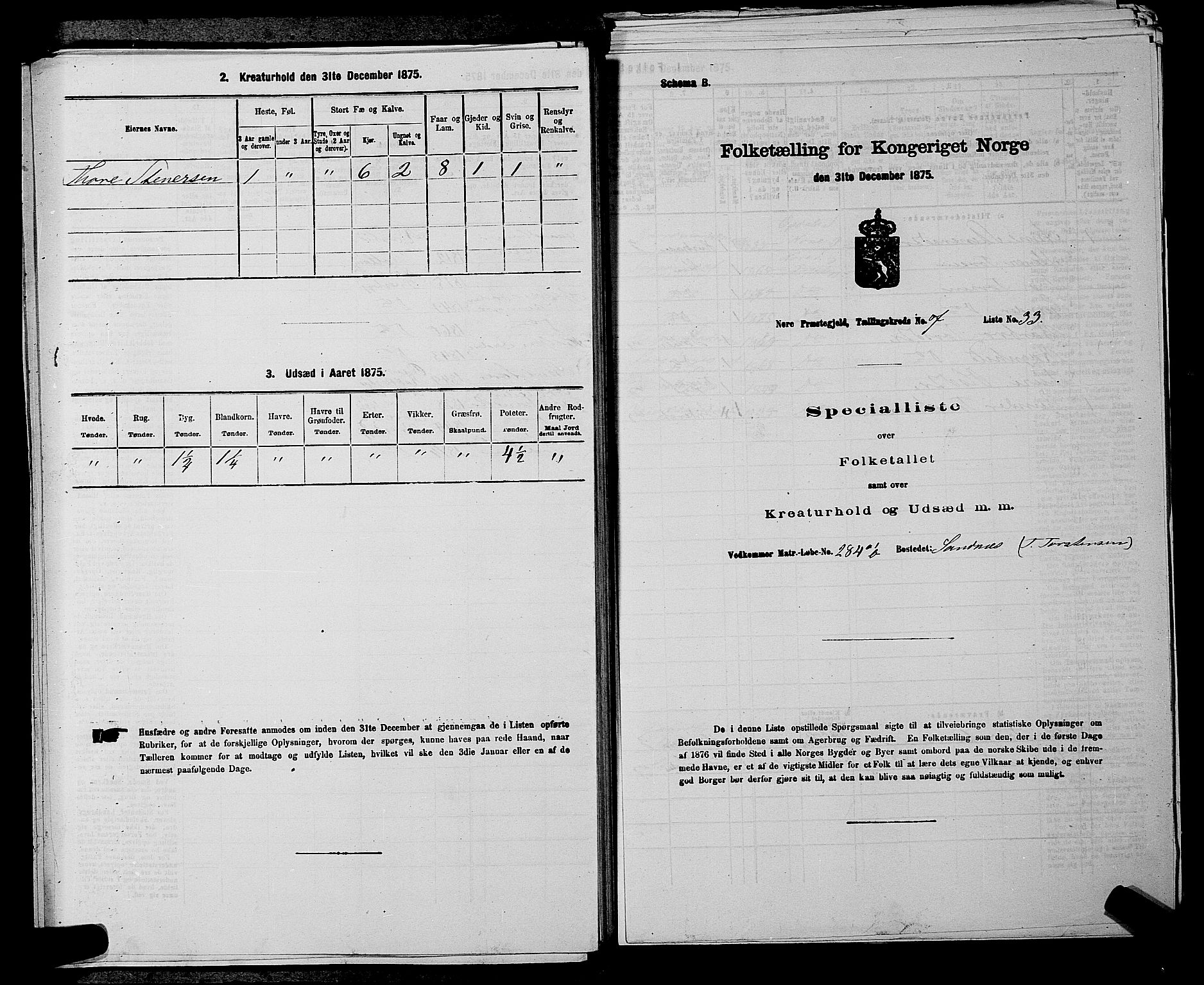 SAKO, 1875 census for 0633P Nore, 1875, p. 920