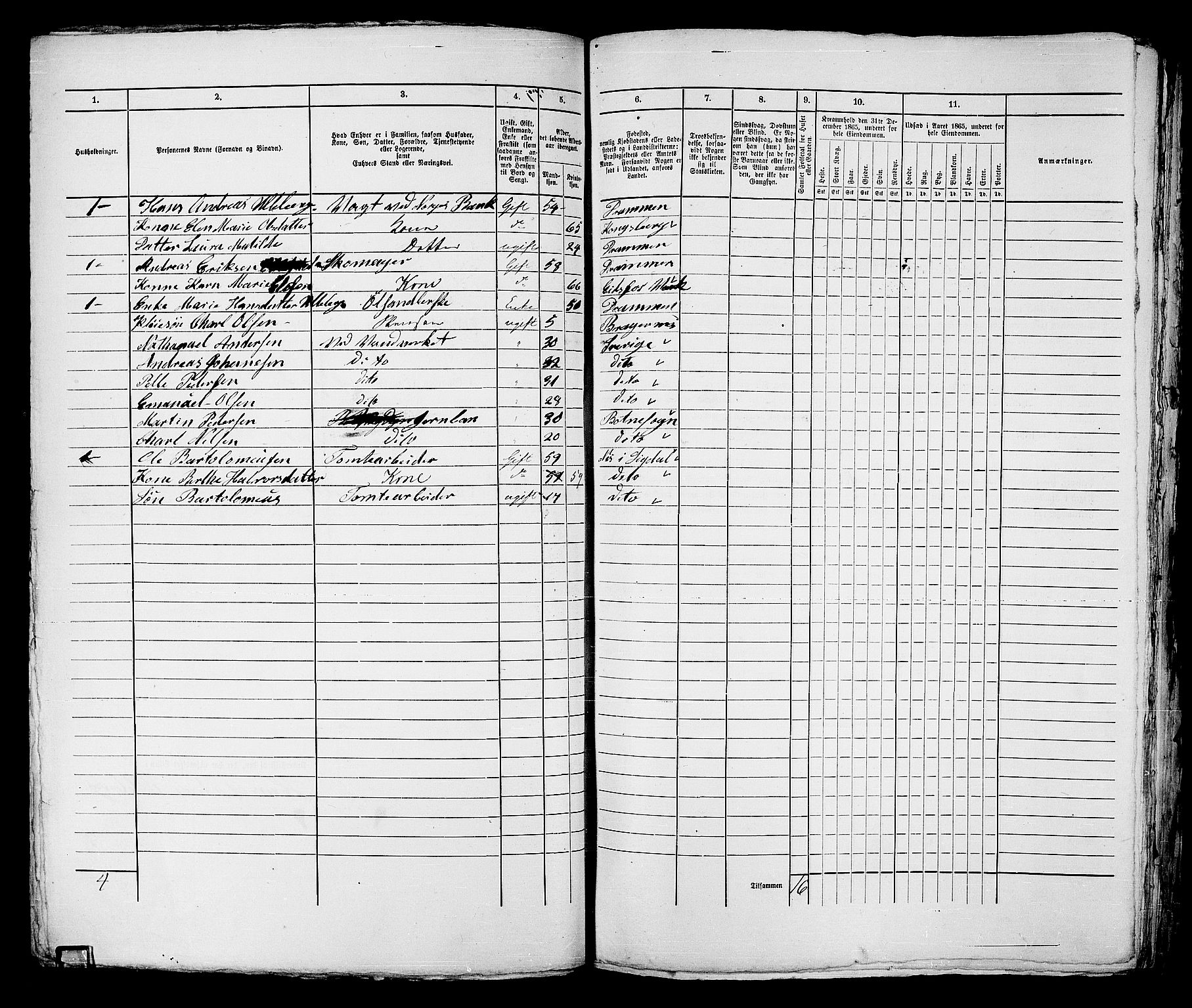 RA, 1865 census for Strømsø in Drammen, 1865, p. 220