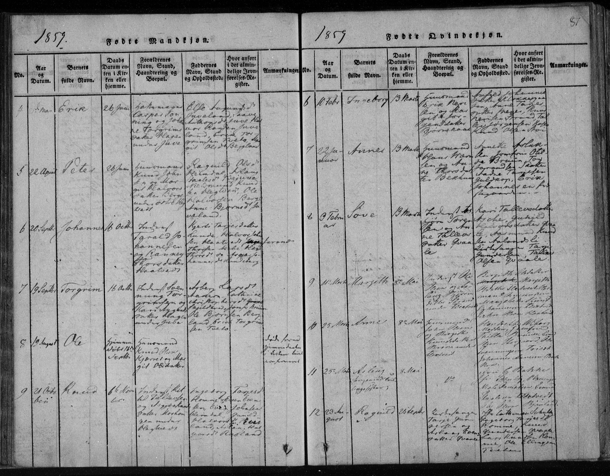 Lårdal kirkebøker, SAKO/A-284/F/Fa/L0005: Parish register (official) no. I 5, 1815-1860, p. 81