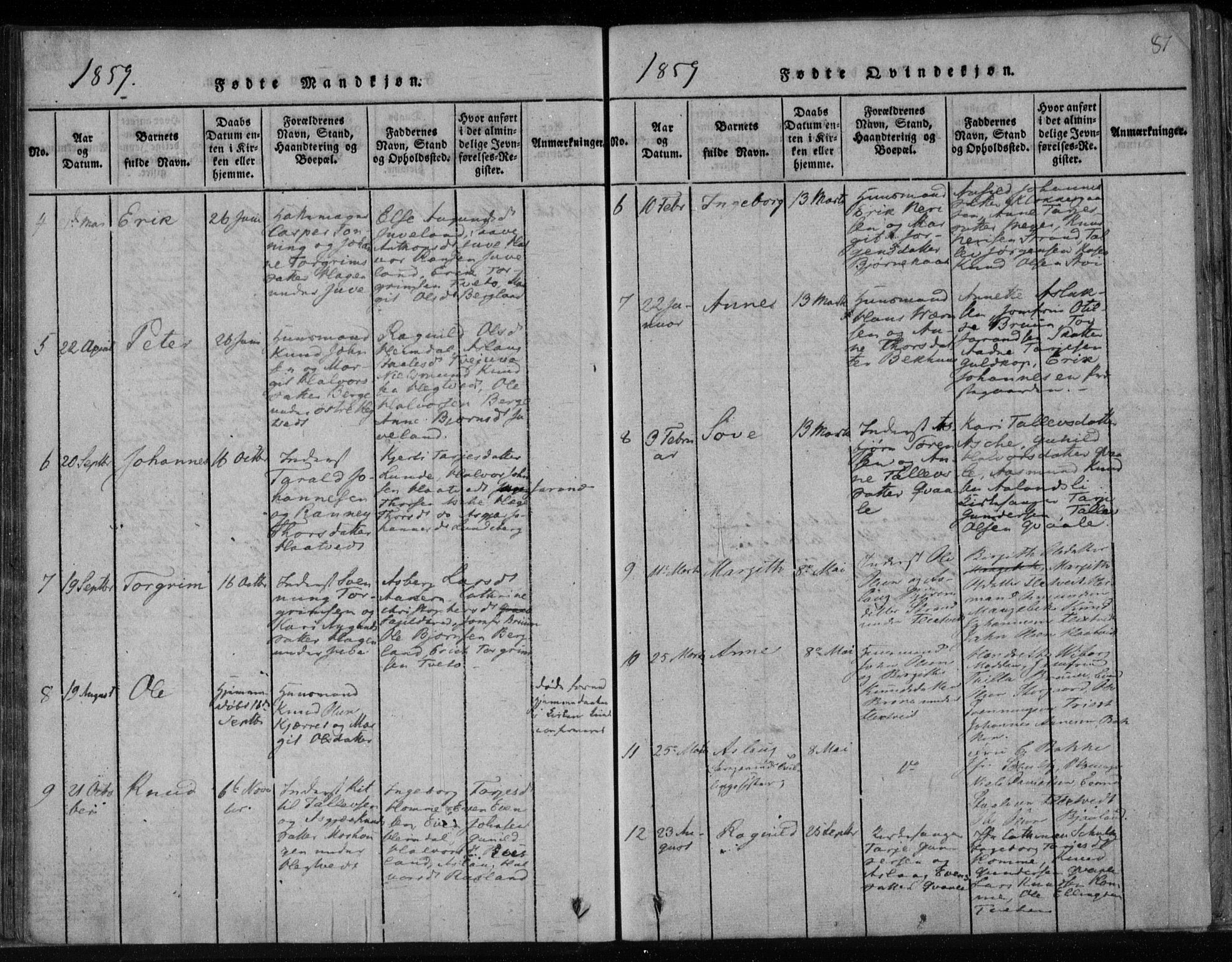 Lårdal kirkebøker, AV/SAKO-A-284/F/Fa/L0005: Parish register (official) no. I 5, 1815-1860, p. 81
