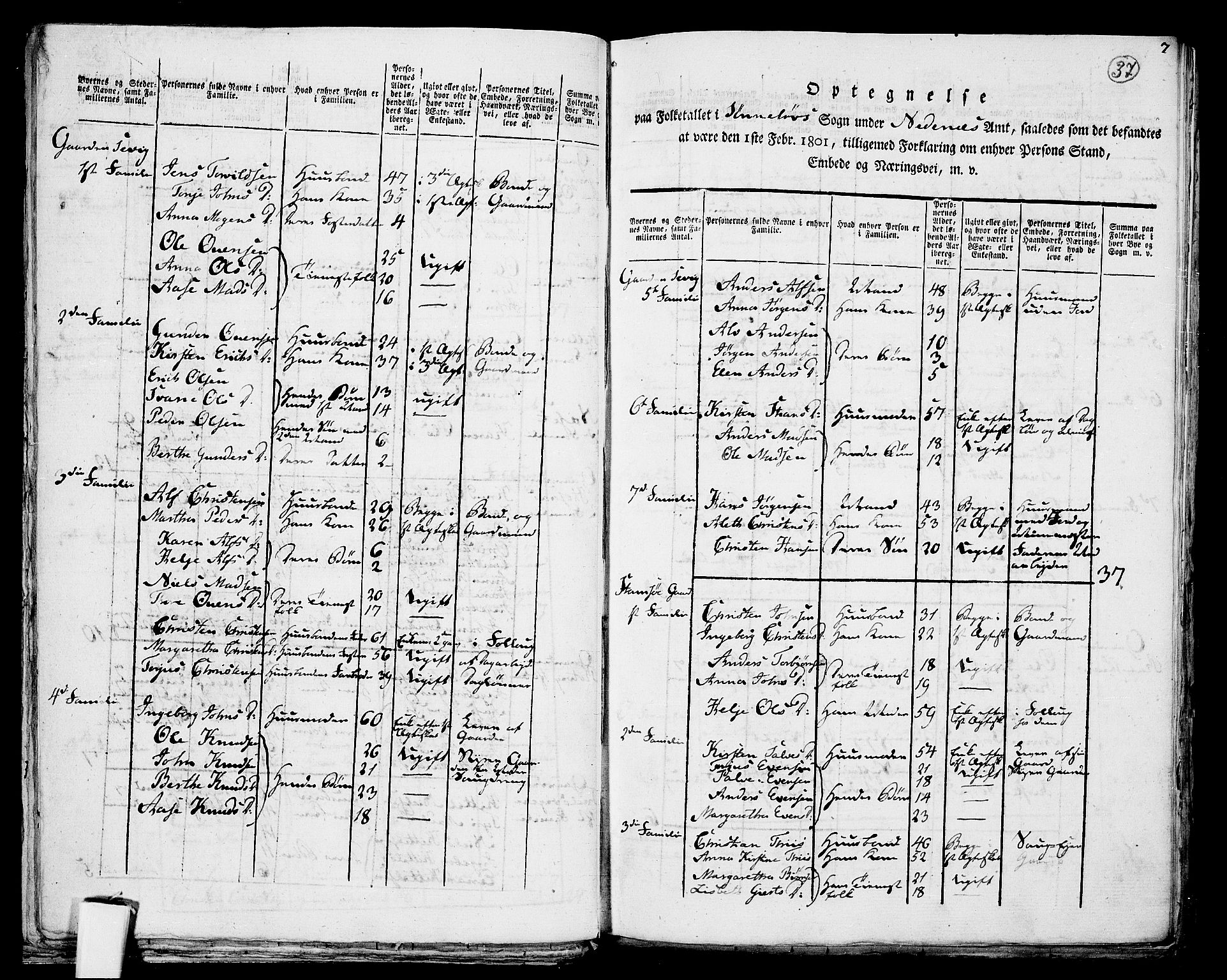 RA, 1801 census for 0901P Risør, 1801, p. 36b-37a