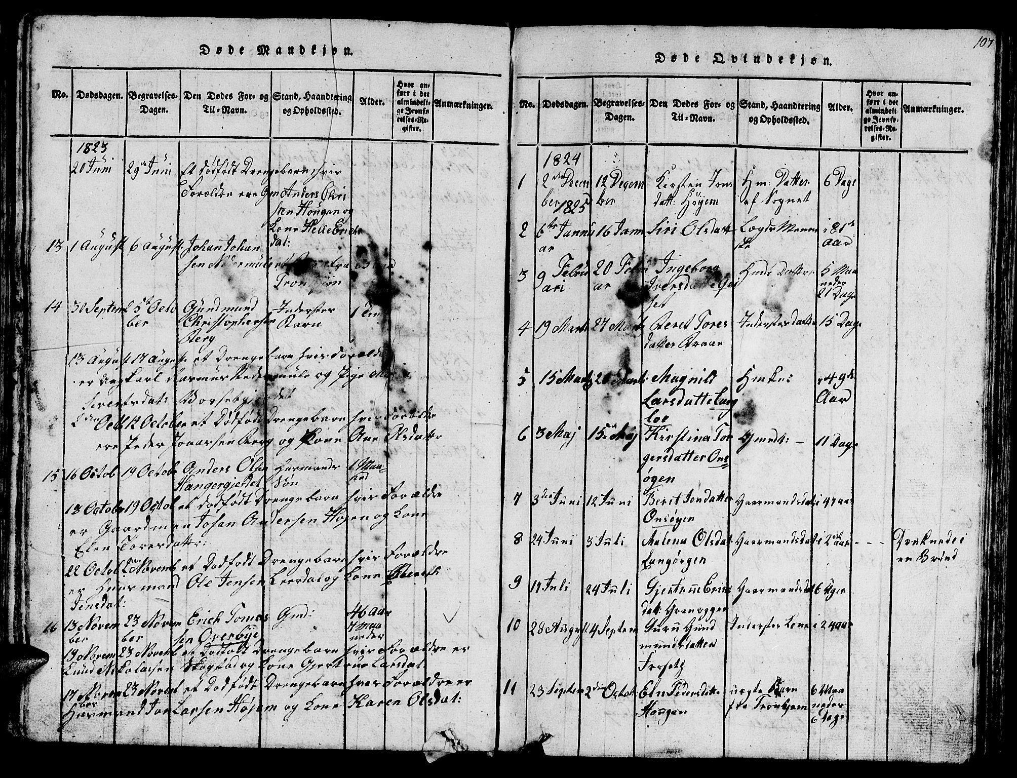 Ministerialprotokoller, klokkerbøker og fødselsregistre - Sør-Trøndelag, SAT/A-1456/612/L0385: Parish register (copy) no. 612C01, 1816-1845, p. 107