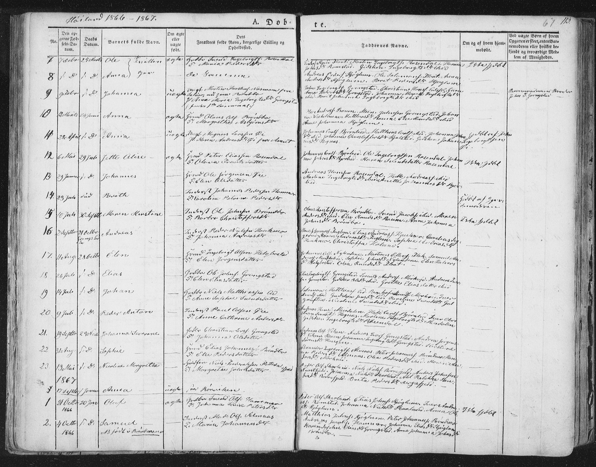 Ministerialprotokoller, klokkerbøker og fødselsregistre - Nord-Trøndelag, SAT/A-1458/758/L0513: Parish register (official) no. 758A02 /2, 1839-1868, p. 67