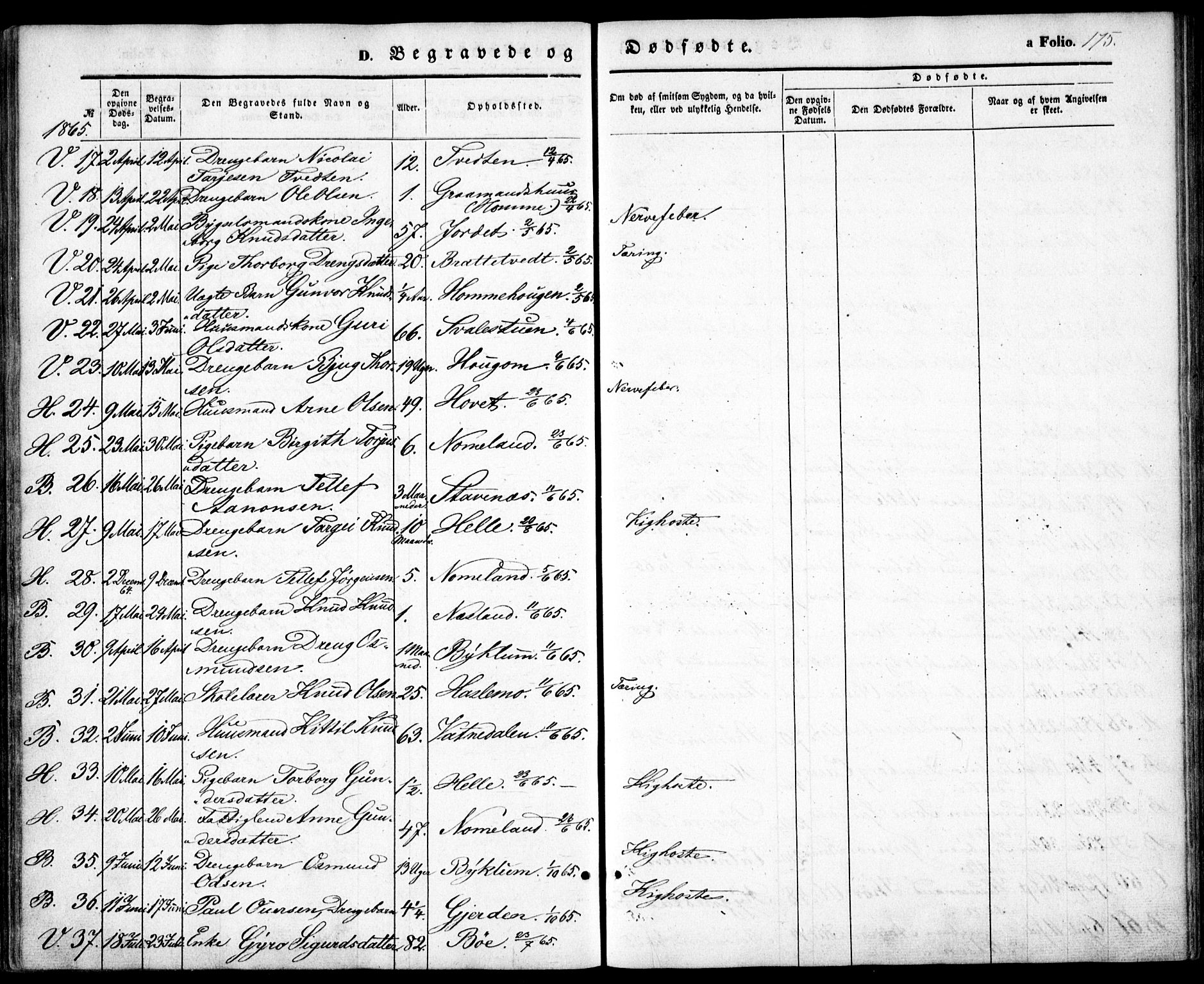 Valle sokneprestkontor, SAK/1111-0044/F/Fa/Fac/L0007: Parish register (official) no. A 7, 1854-1868, p. 175