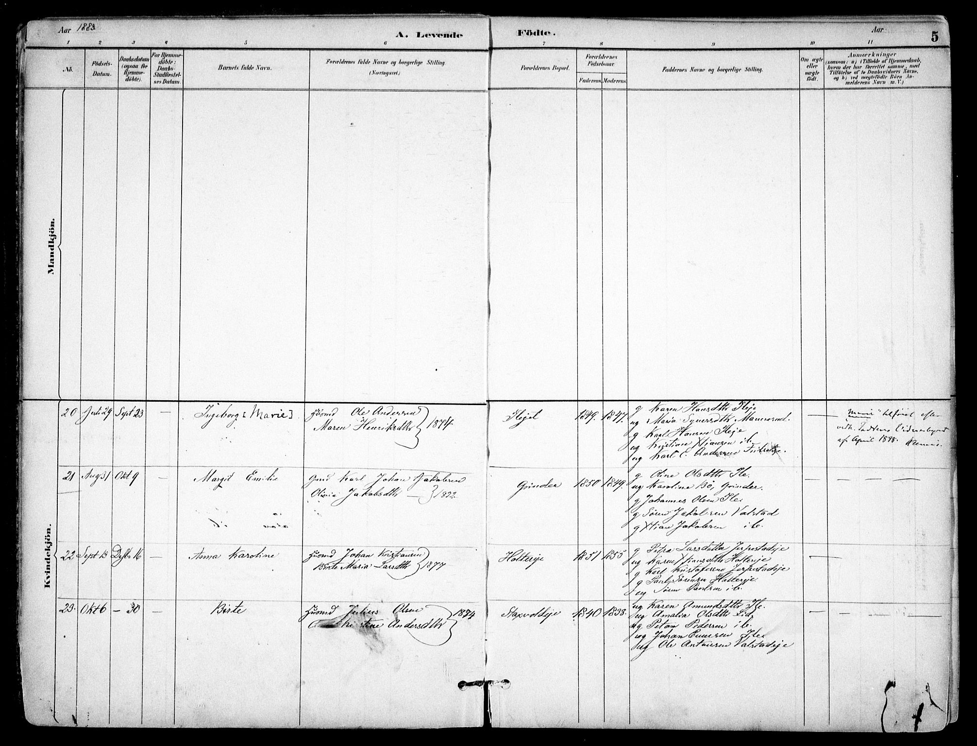 Nes prestekontor Kirkebøker, AV/SAO-A-10410/F/Fb/L0002: Parish register (official) no. II 2, 1883-1918, p. 5