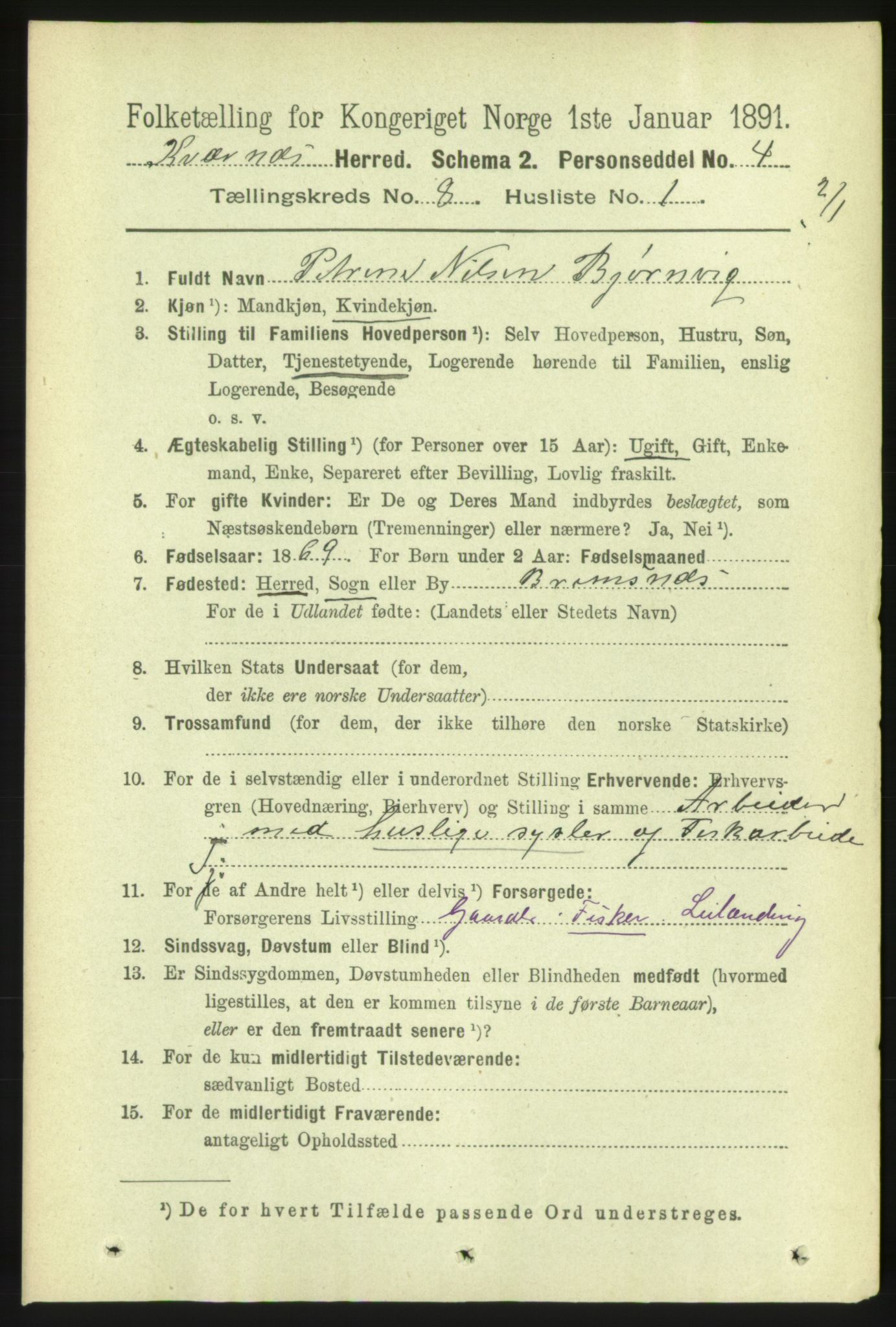 RA, 1891 census for 1553 Kvernes, 1891, p. 3519