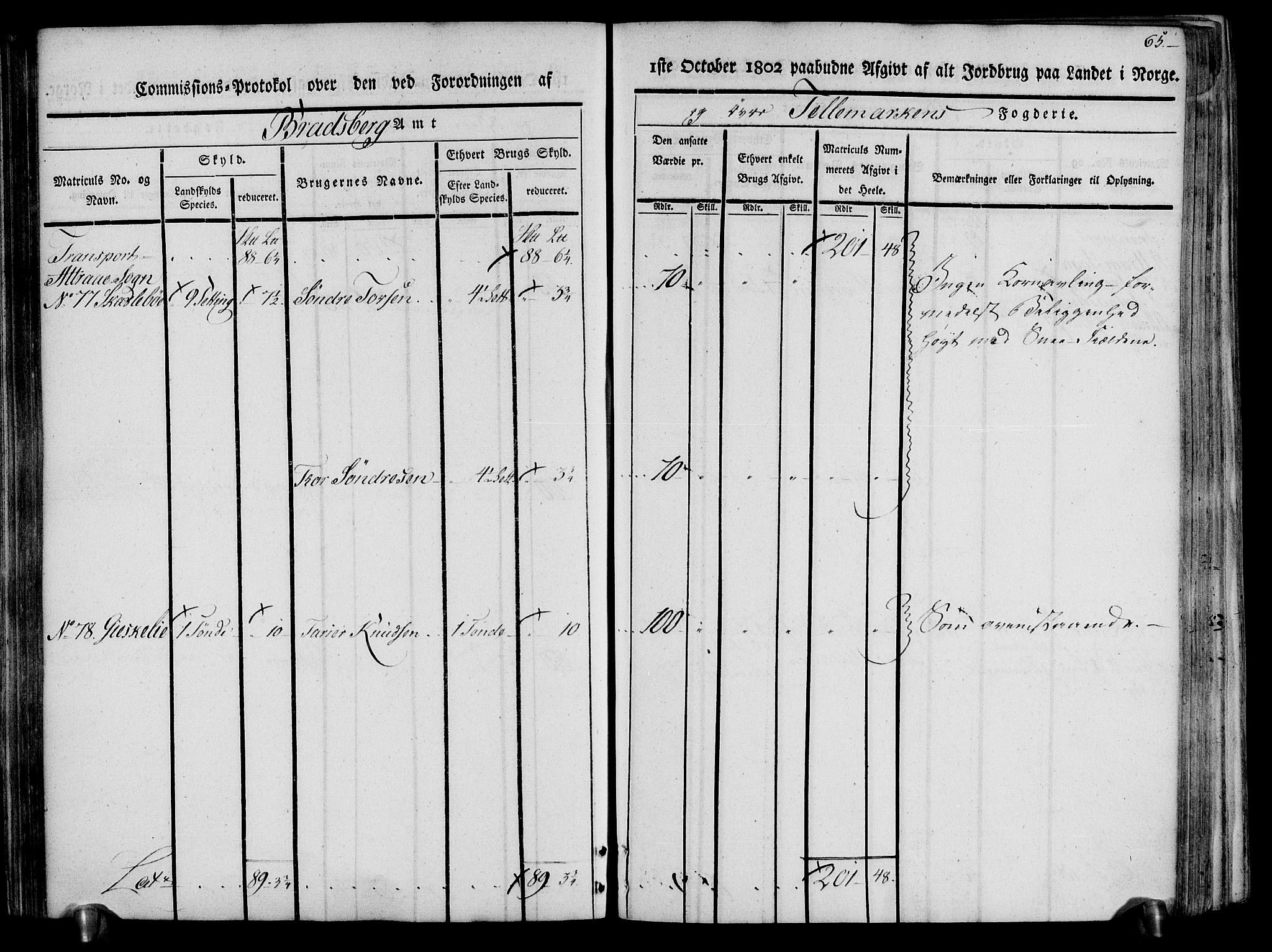 Rentekammeret inntil 1814, Realistisk ordnet avdeling, AV/RA-EA-4070/N/Ne/Nea/L0074: Øvre Telemarken fogderi. Kommisjonsprotokoll for fogderiets østre del - Tinn, Hjartdal og Seljord prestegjeld., 1803, p. 65