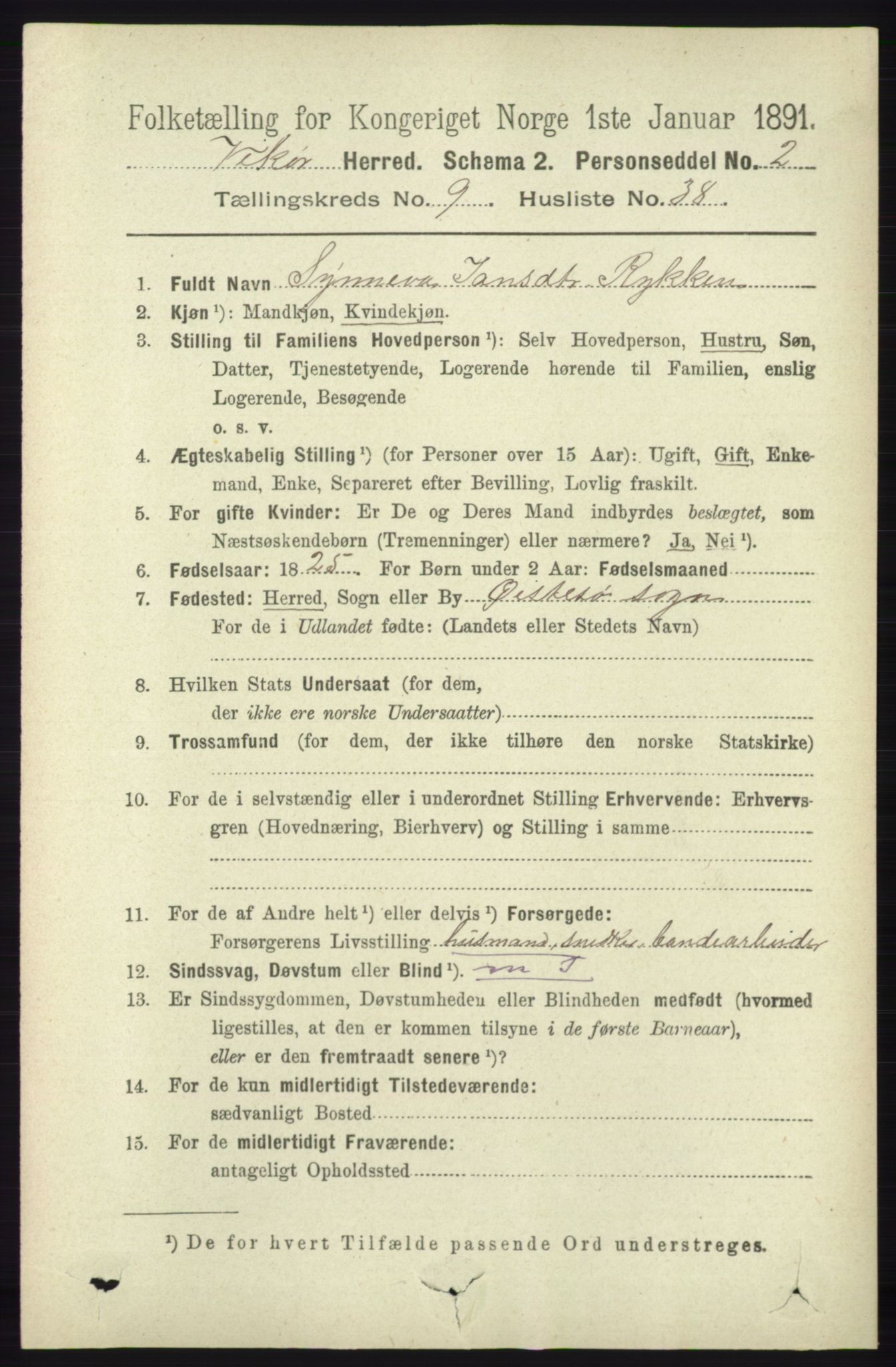 RA, 1891 census for 1238 Vikør, 1891, p. 2899