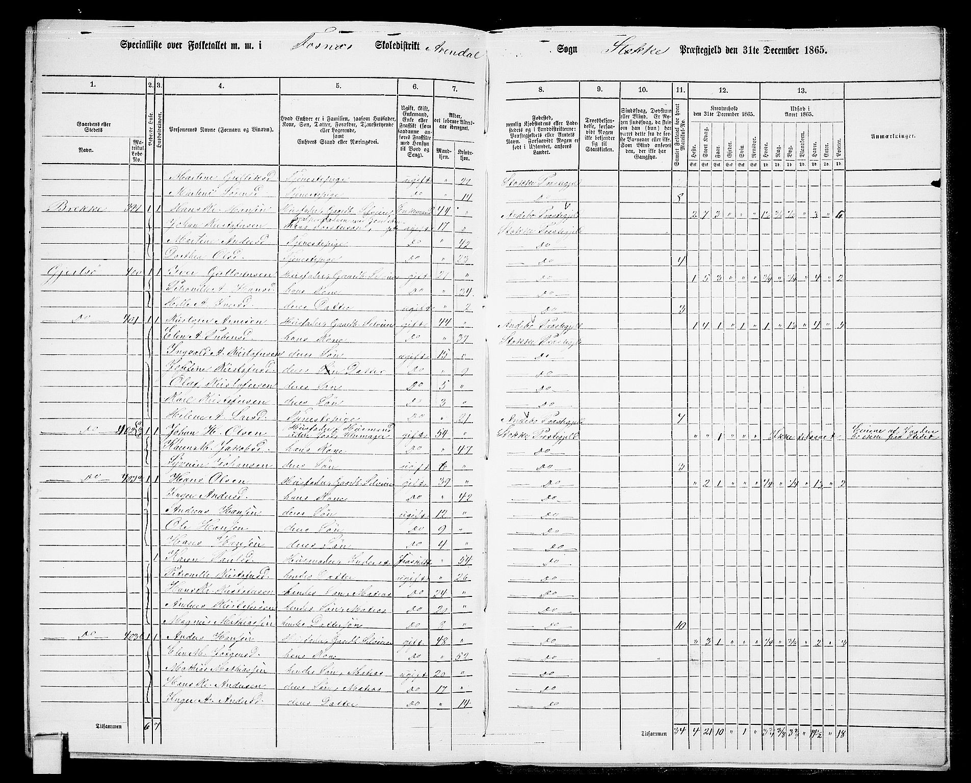 RA, 1865 census for Stokke, 1865, p. 196