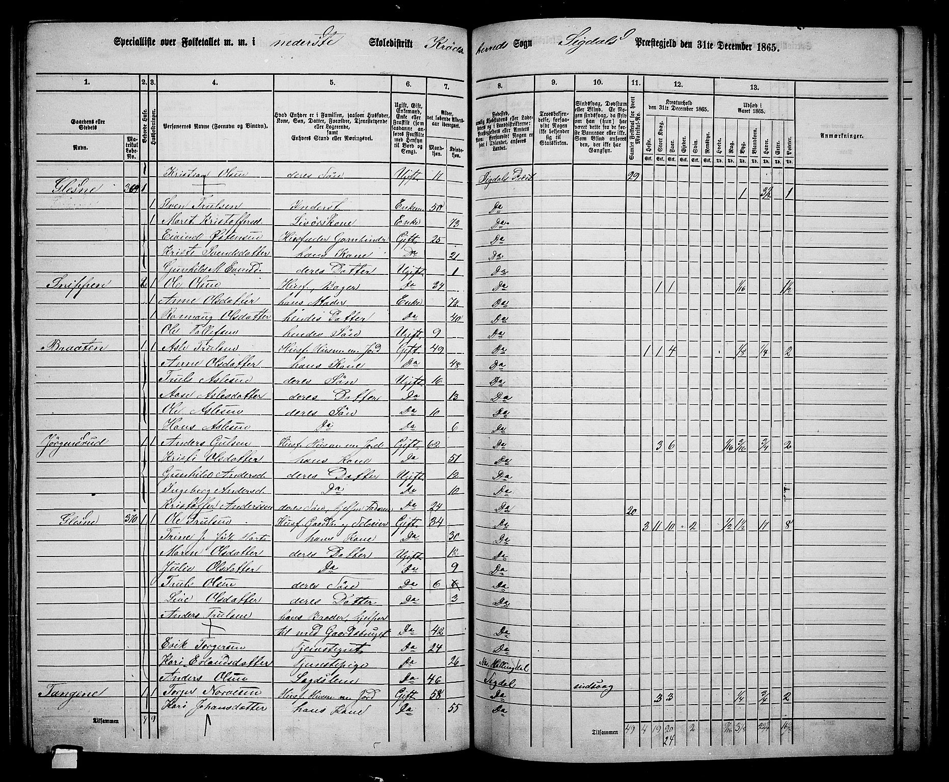 RA, 1865 census for Sigdal, 1865, p. 194