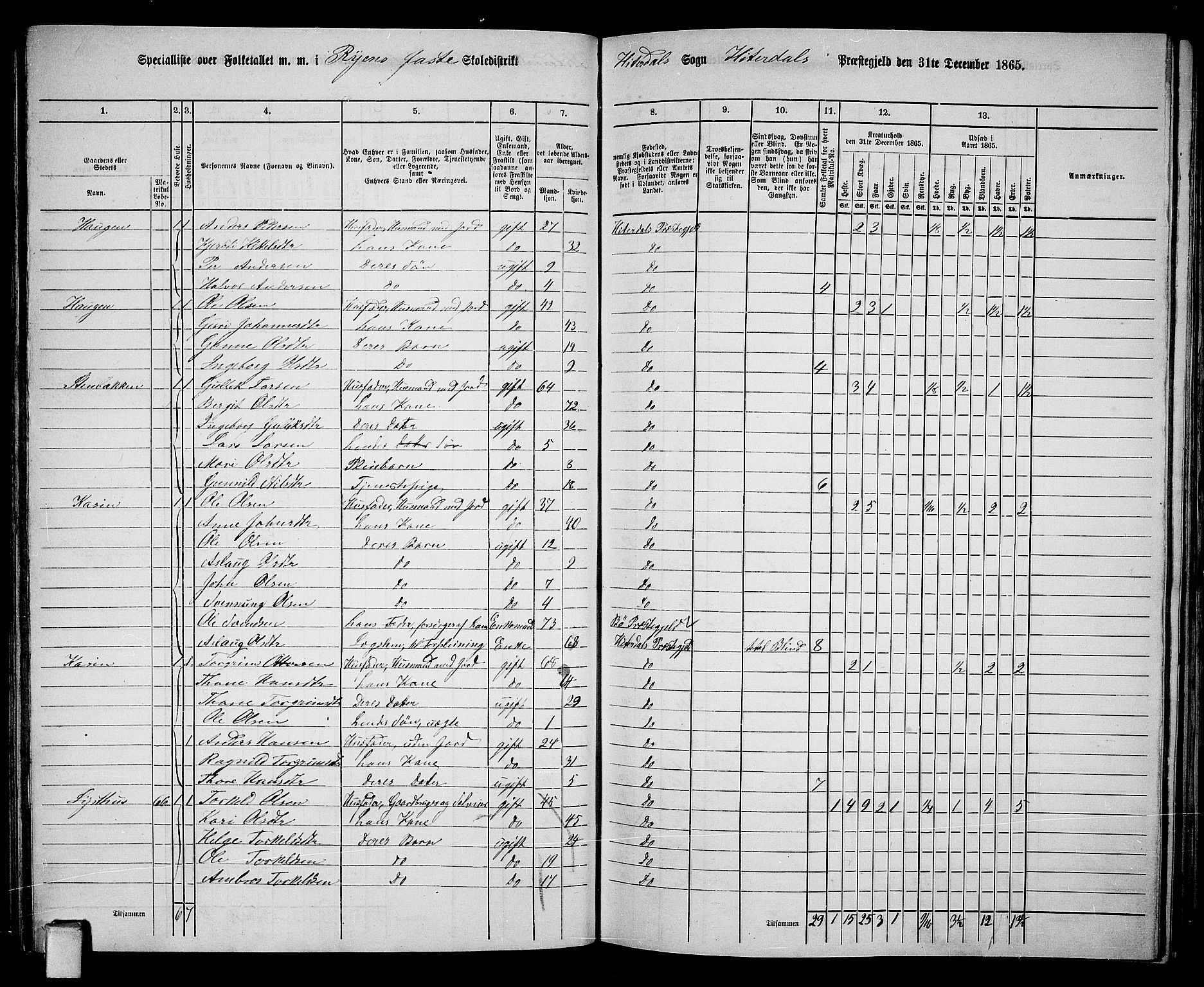 RA, 1865 census for Heddal, 1865, p. 58