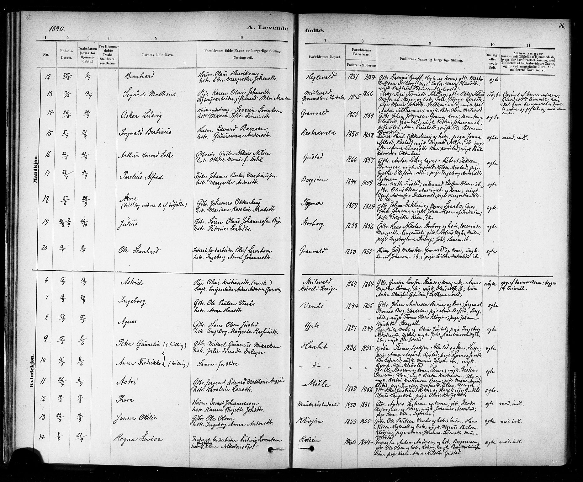 Ministerialprotokoller, klokkerbøker og fødselsregistre - Nord-Trøndelag, SAT/A-1458/721/L0208: Parish register (copy) no. 721C01, 1880-1917, p. 36