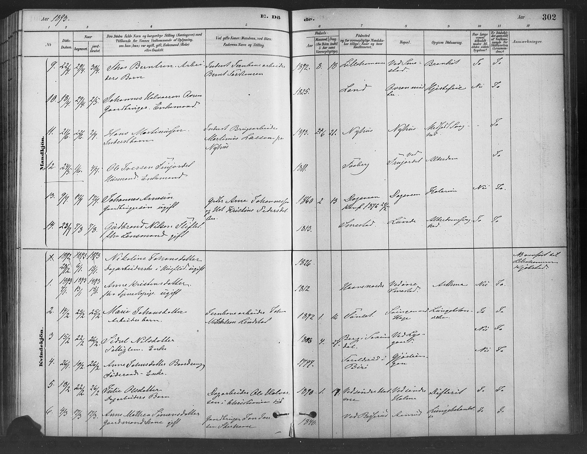 Fåberg prestekontor, SAH/PREST-086/H/Ha/Haa/L0009: Parish register (official) no. 9, 1879-1898, p. 302