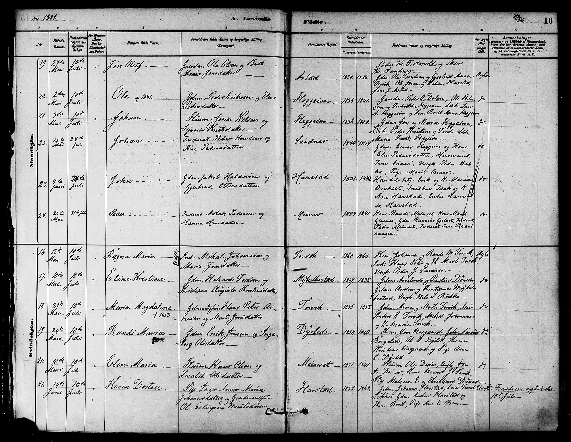 Ministerialprotokoller, klokkerbøker og fødselsregistre - Møre og Romsdal, SAT/A-1454/584/L0967: Parish register (official) no. 584A07, 1879-1894, p. 16