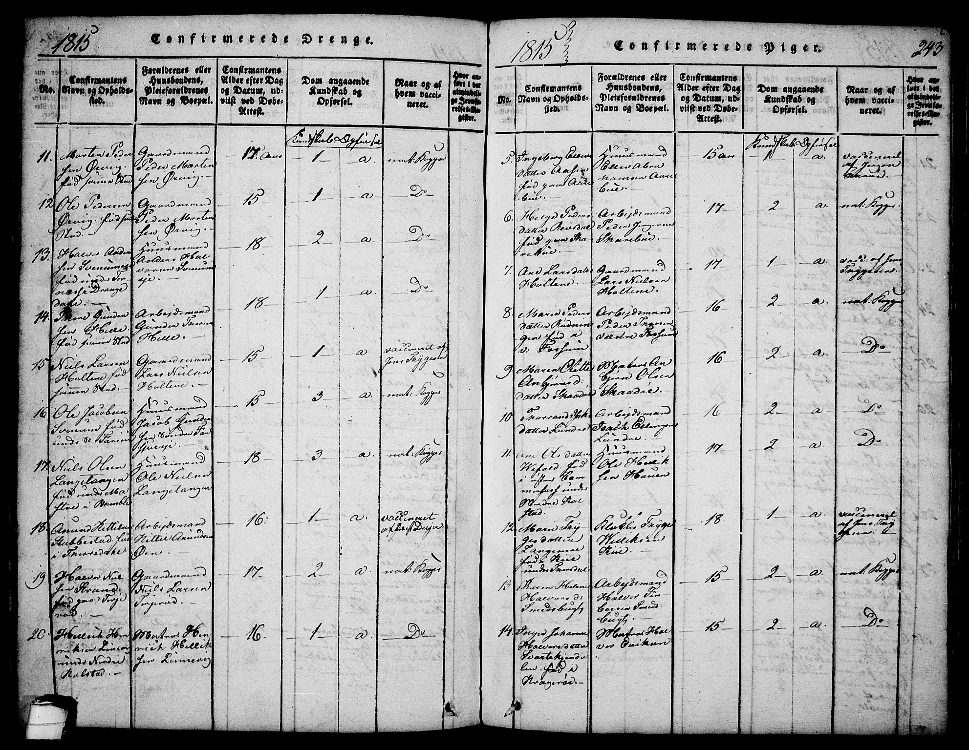 Sannidal kirkebøker, SAKO/A-296/F/Fa/L0004: Parish register (official) no. 4, 1814-1829, p. 243