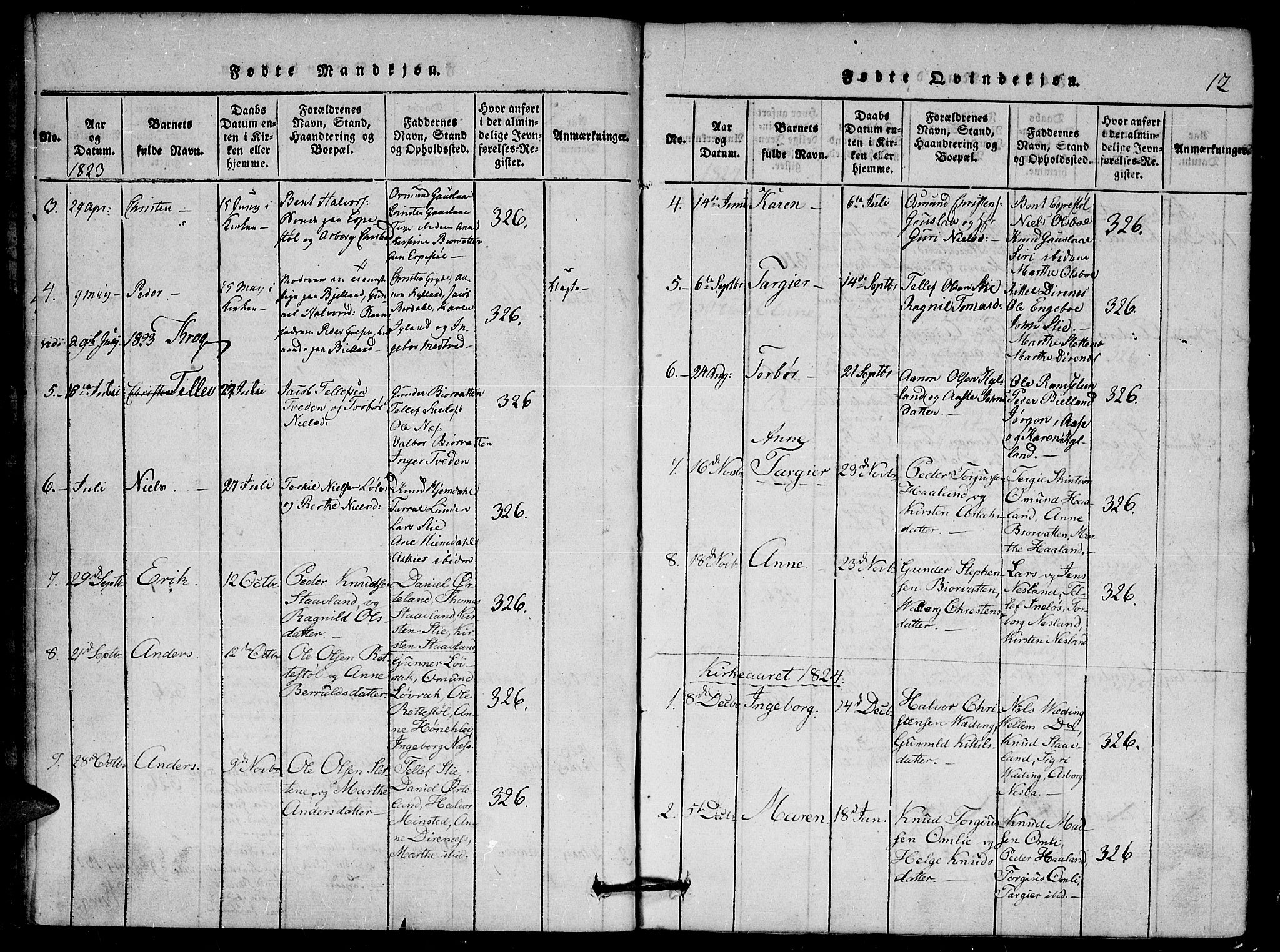 Herefoss sokneprestkontor, AV/SAK-1111-0019/F/Fa/Faa/L0001: Parish register (official) no. A 1, 1816-1860, p. 12