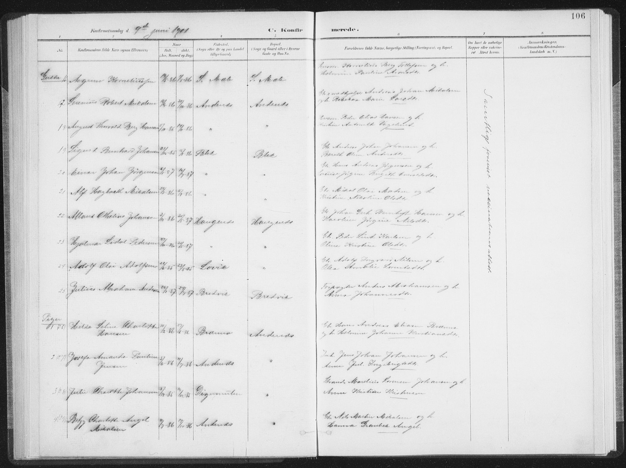 Ministerialprotokoller, klokkerbøker og fødselsregistre - Nordland, SAT/A-1459/897/L1400: Parish register (official) no. 897A07, 1897-1908, p. 106
