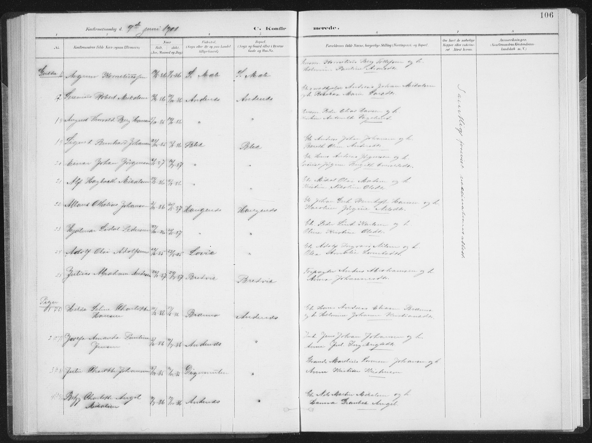 Ministerialprotokoller, klokkerbøker og fødselsregistre - Nordland, AV/SAT-A-1459/897/L1400: Parish register (official) no. 897A07, 1897-1908, p. 106