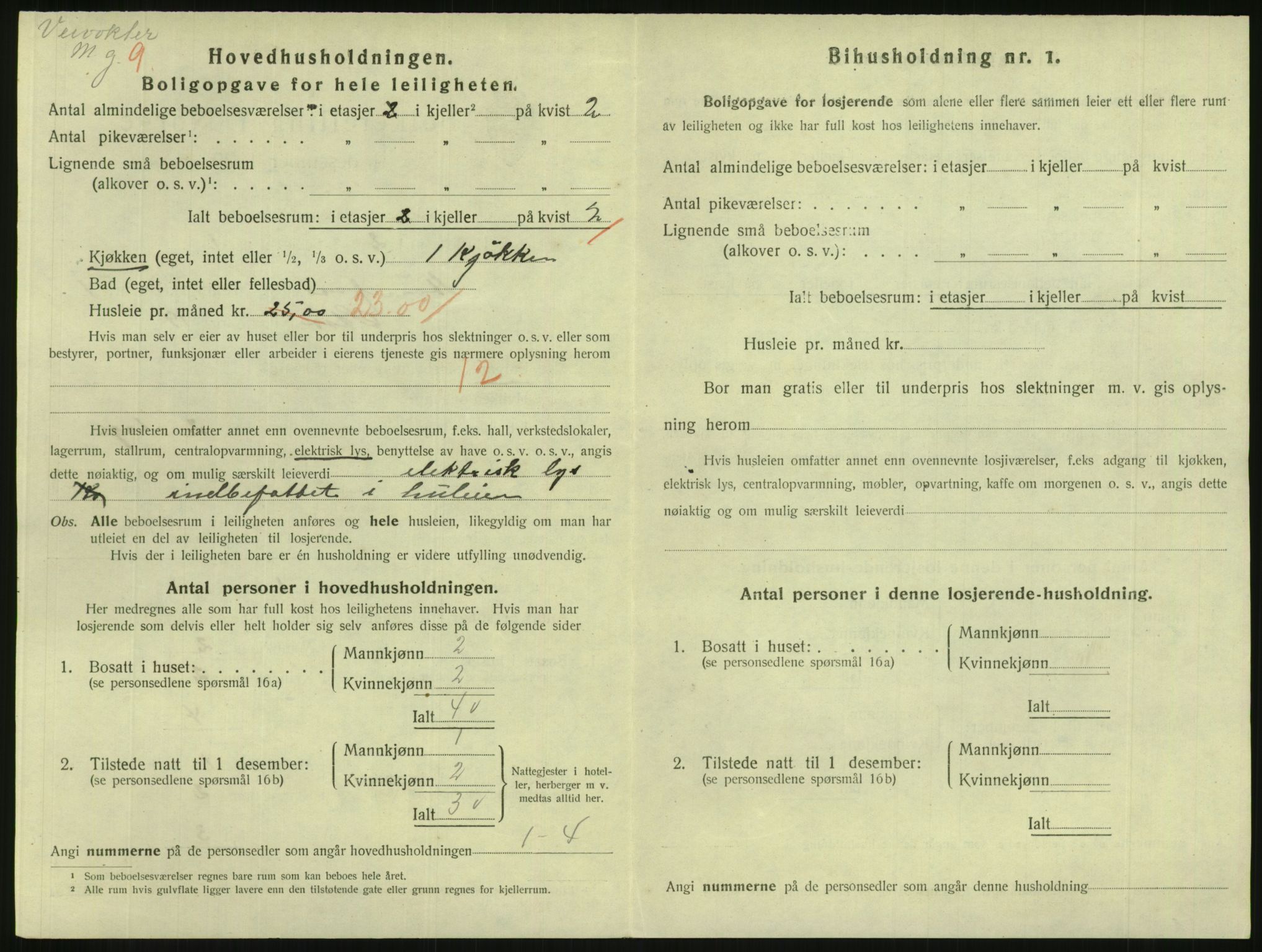 SAKO, 1920 census for Hønefoss, 1920, p. 1667