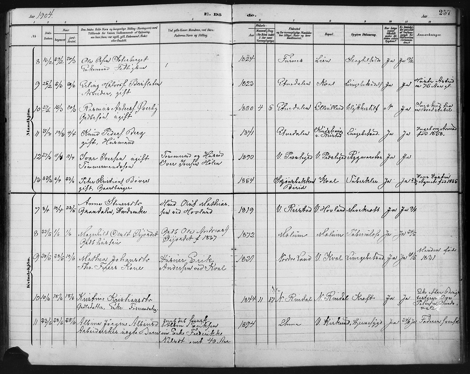 Fåberg prestekontor, SAH/PREST-086/H/Ha/Hab/L0011: Parish register (copy) no. 11, 1901-1921, p. 257